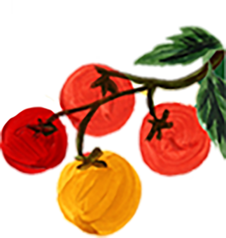 A cluster of ripe tomatoes on the vine with green leaves, featuring red and yellow varieties.