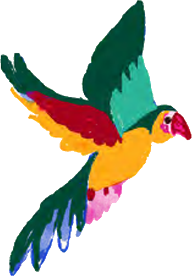 Colorful parrot with green, yellow, red, blue, and pink feathers flying.