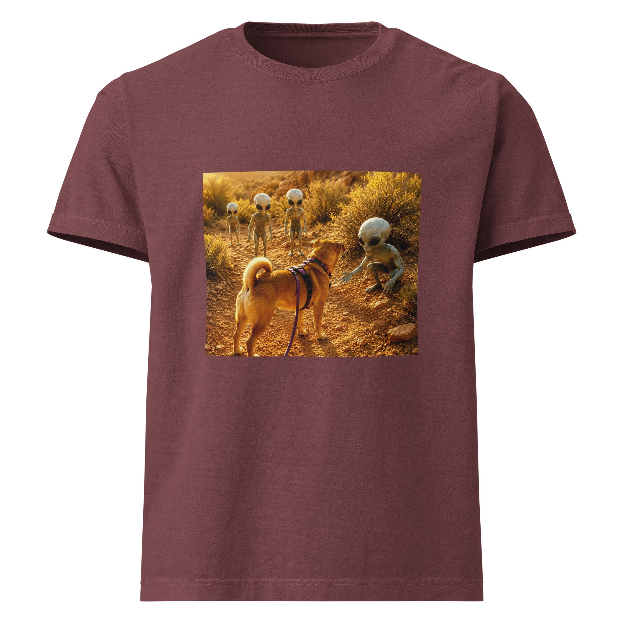 unisex-oversized-garment-dyed-t-shirt-washed-maroon-front-6a2a5e8830d6f.jpg