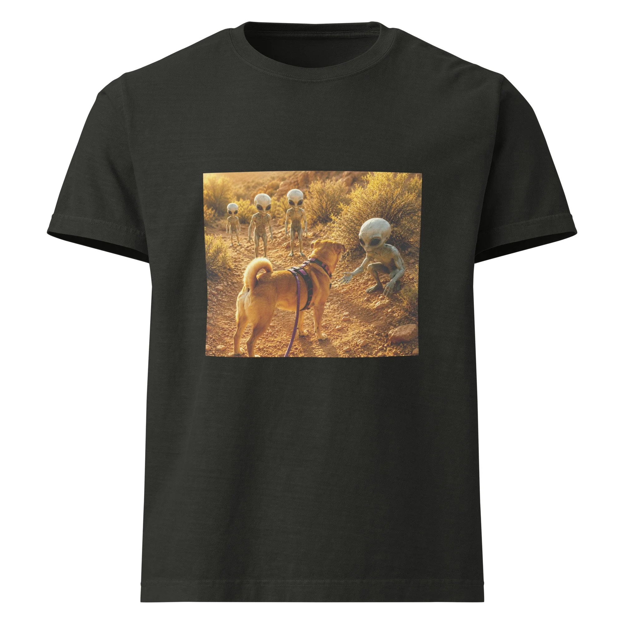 unisex-oversized-garment-dyed-t-shirt-washed-black-front-6a2a5e8830c1f.jpg