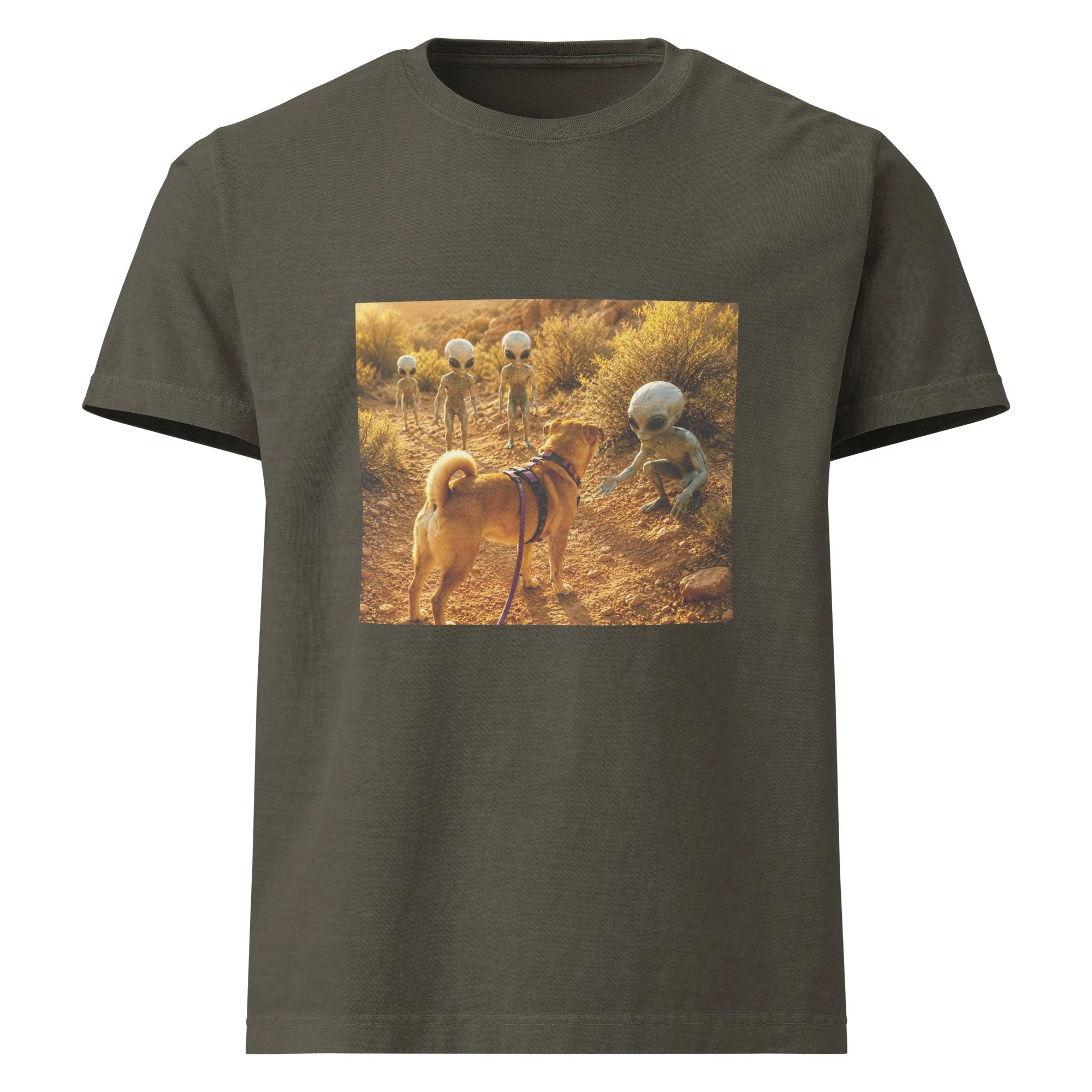 unisex-oversized-garment-dyed-t-shirt-washed-charcoal-front-6a2a5e8830cc4.jpg