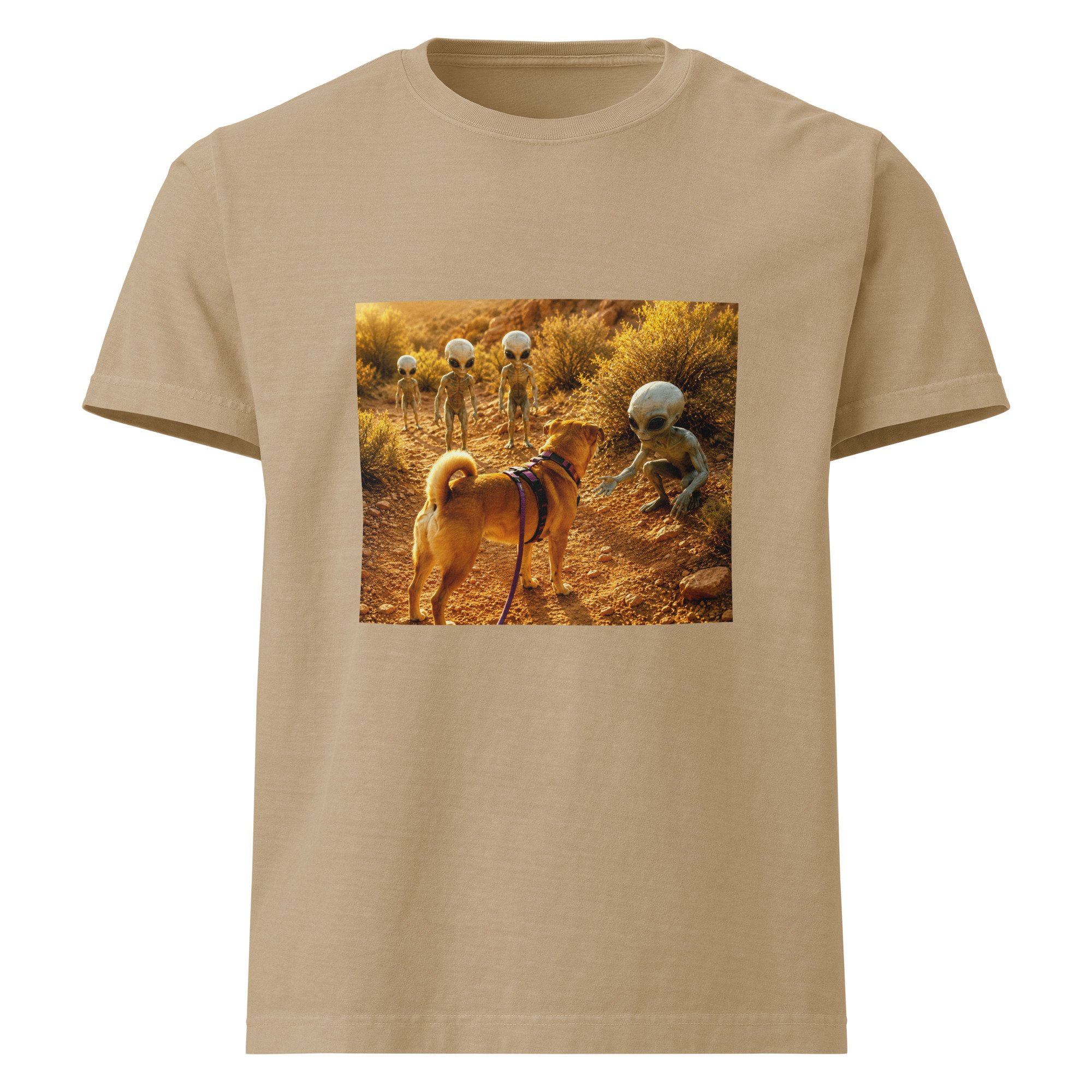 unisex-oversized-garment-dyed-t-shirt-khaki-front-6a2a5e882f814.jpg