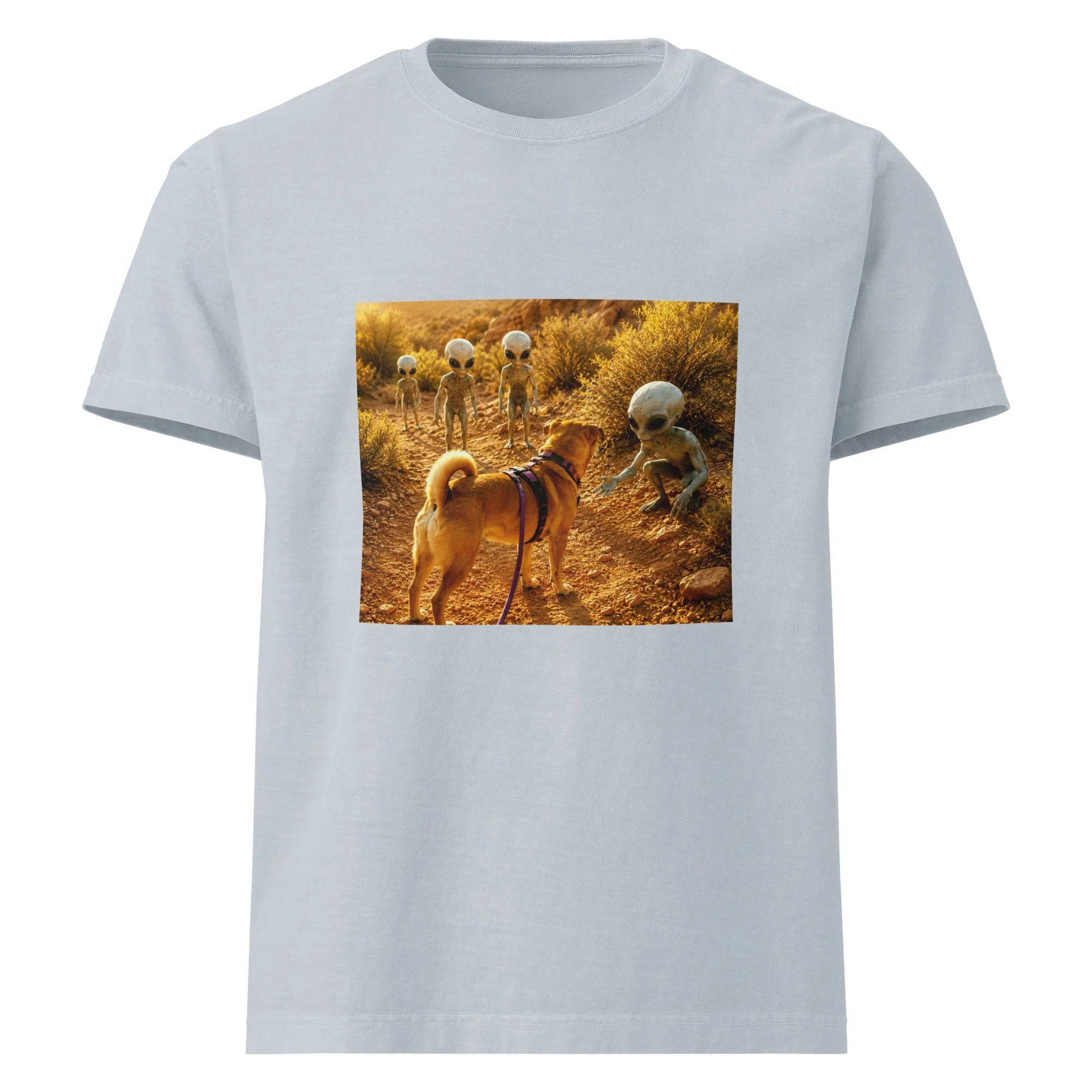 unisex-oversized-garment-dyed-t-shirt-light-washed-denim-front-6a2a5e8830a30.jpg