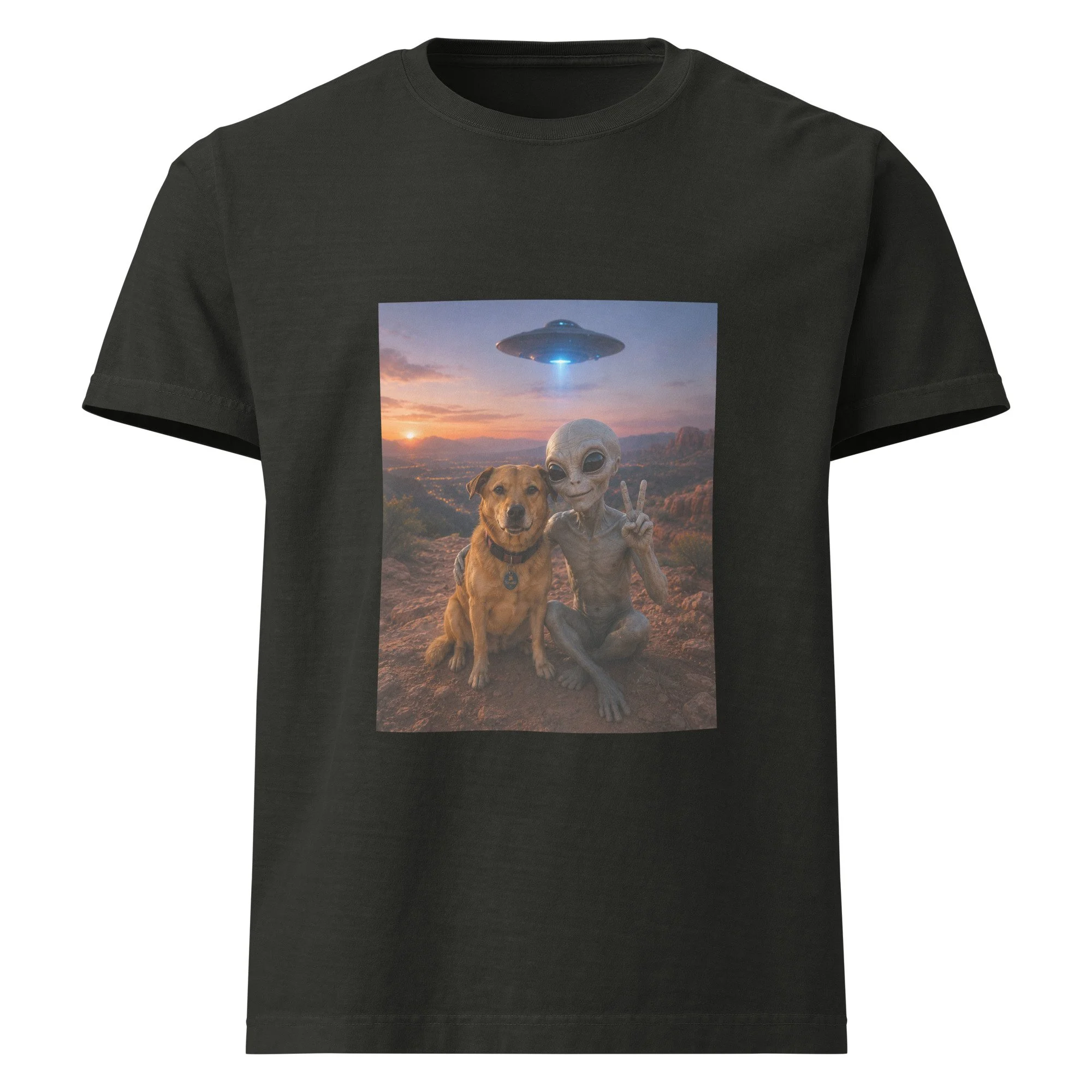 unisex-oversized-garment-dyed-t-shirt-washed-black-front-6a2a6b90c6424.jpg