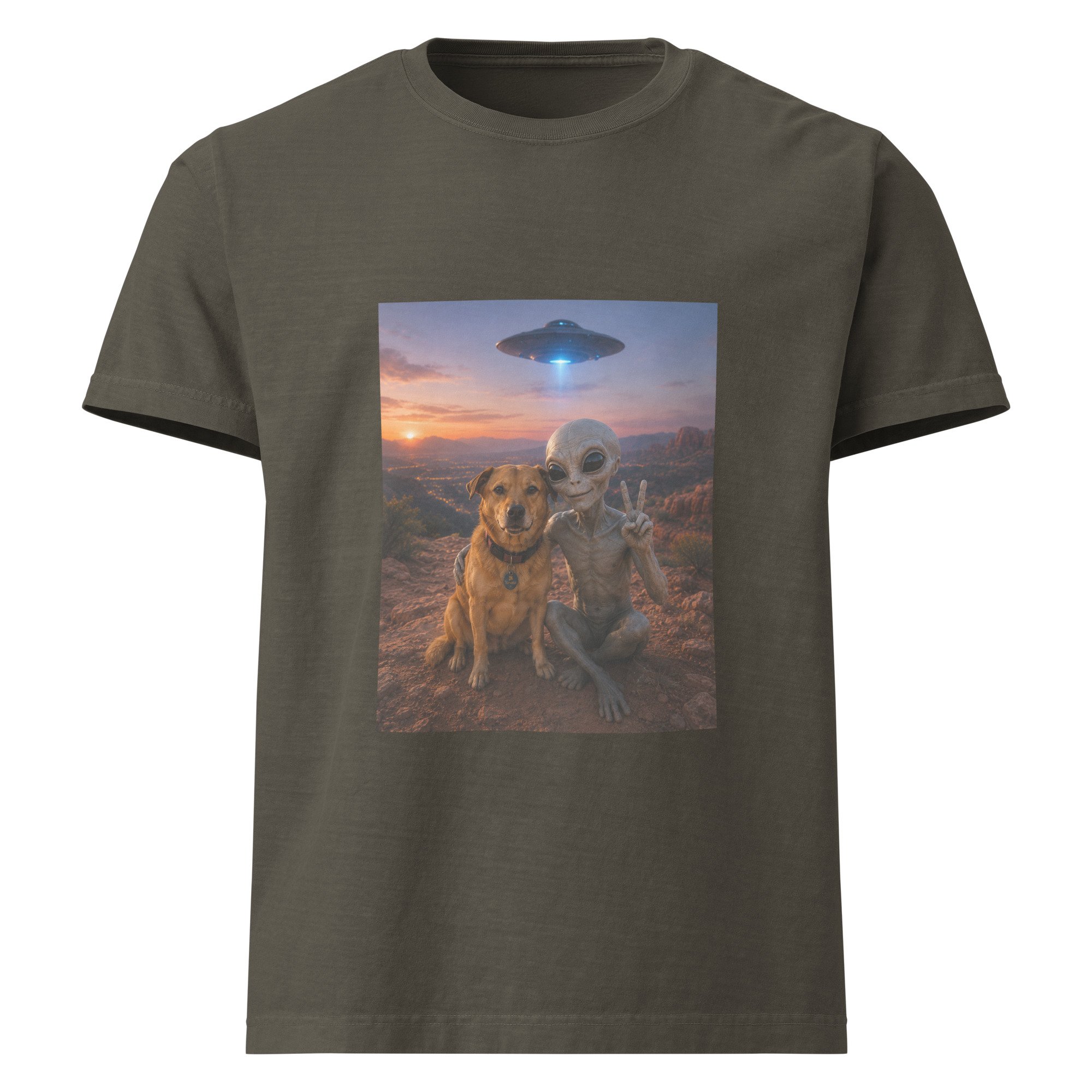 unisex-oversized-garment-dyed-t-shirt-washed-charcoal-front-6a2a6b90c654f.jpg