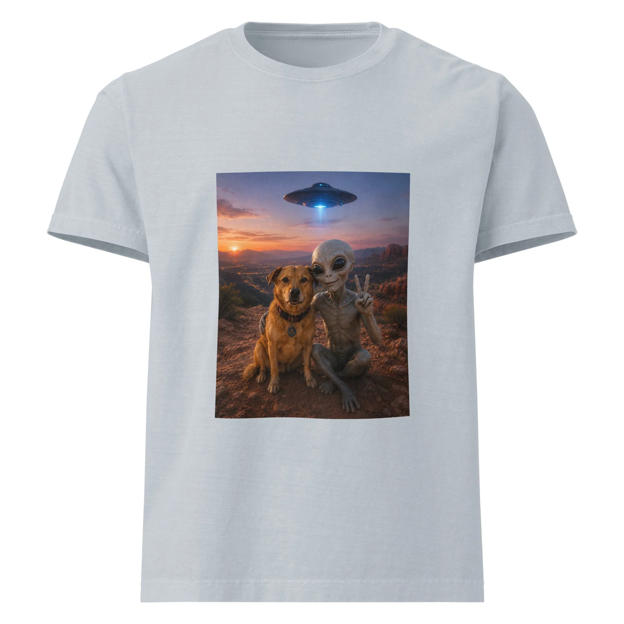 unisex-oversized-garment-dyed-t-shirt-light-washed-denim-front-6a2a6b90c61a6.jpg