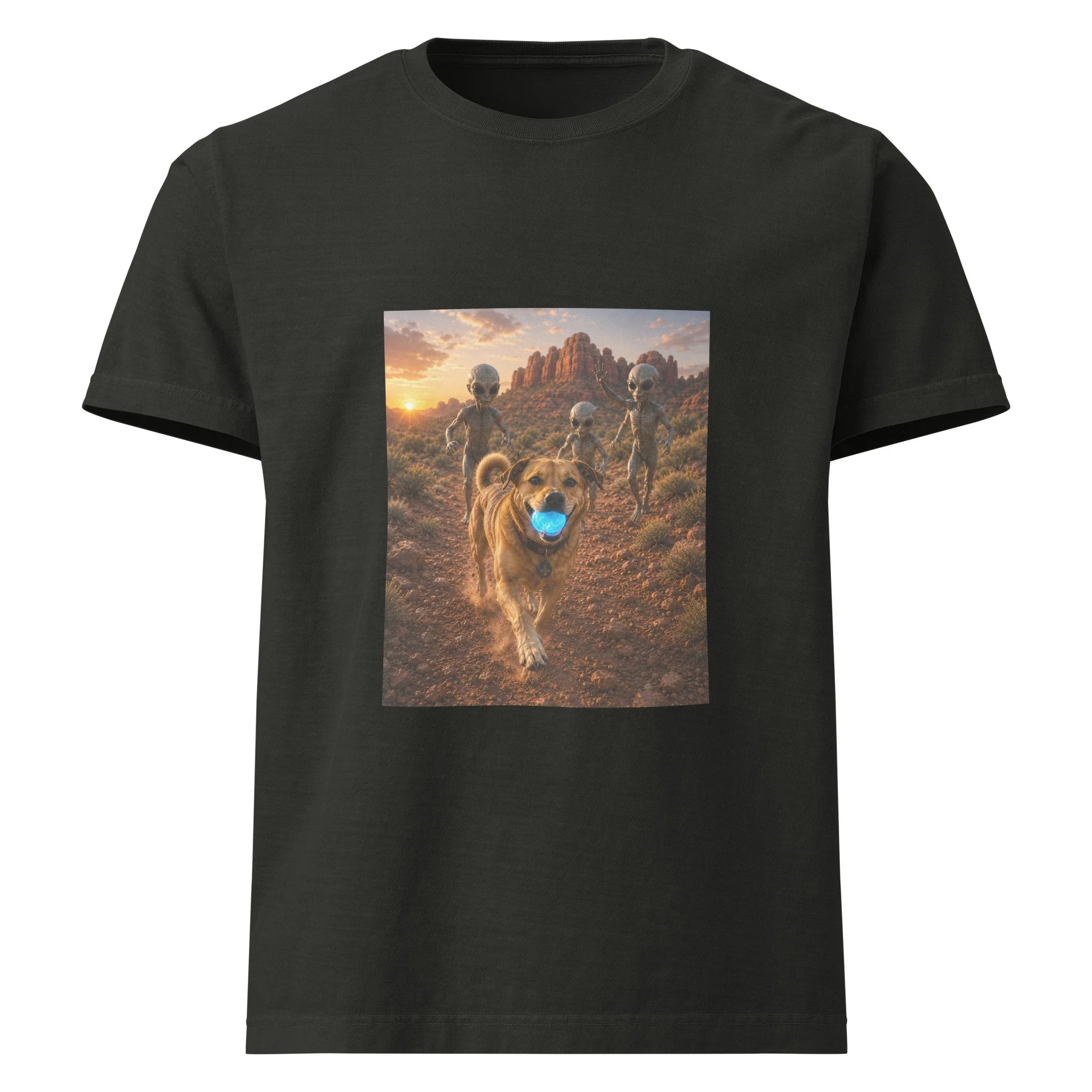unisex-oversized-garment-dyed-t-shirt-washed-black-front-6a2a6e0849139.jpg