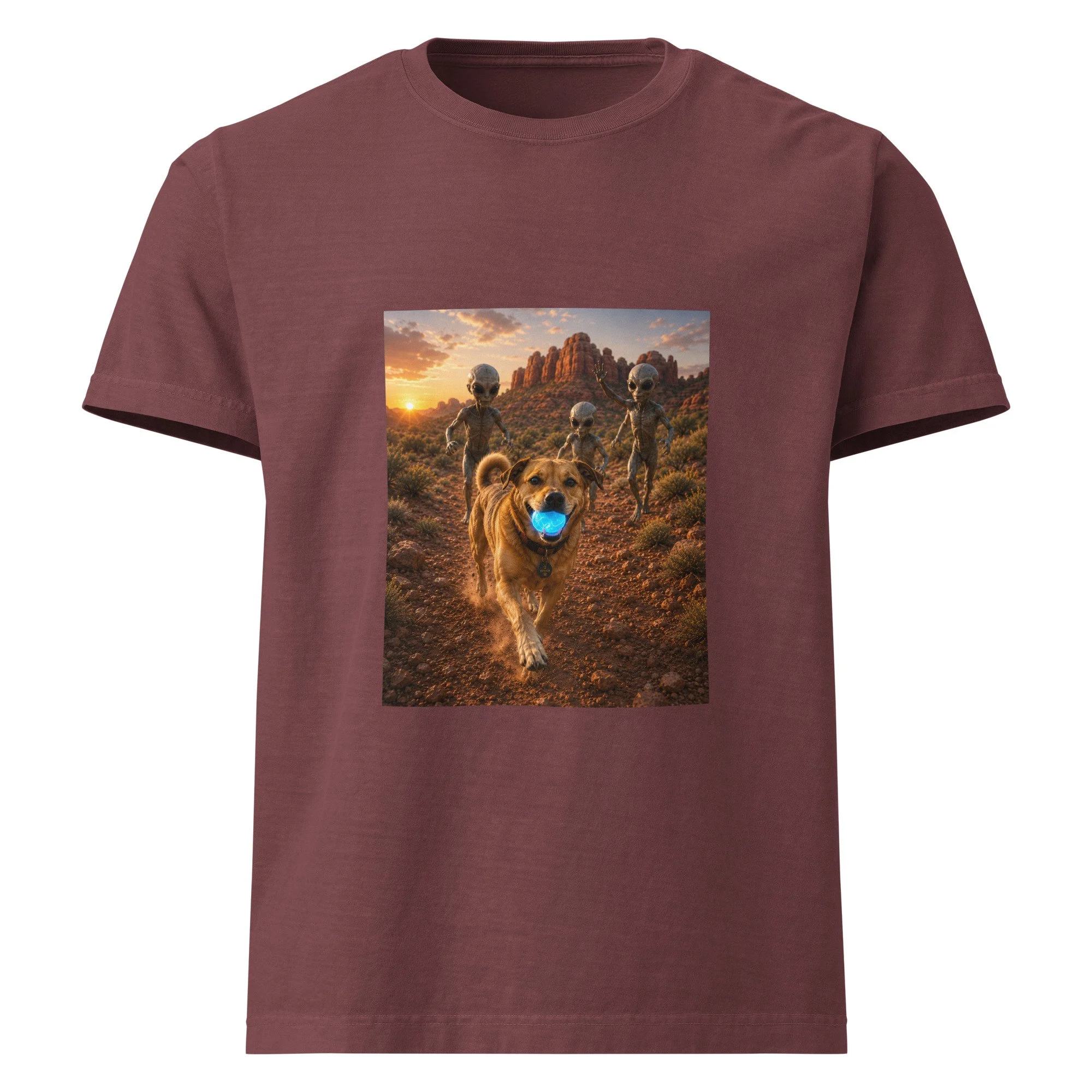 unisex-oversized-garment-dyed-t-shirt-washed-maroon-front-6a2a6e084927b.jpg