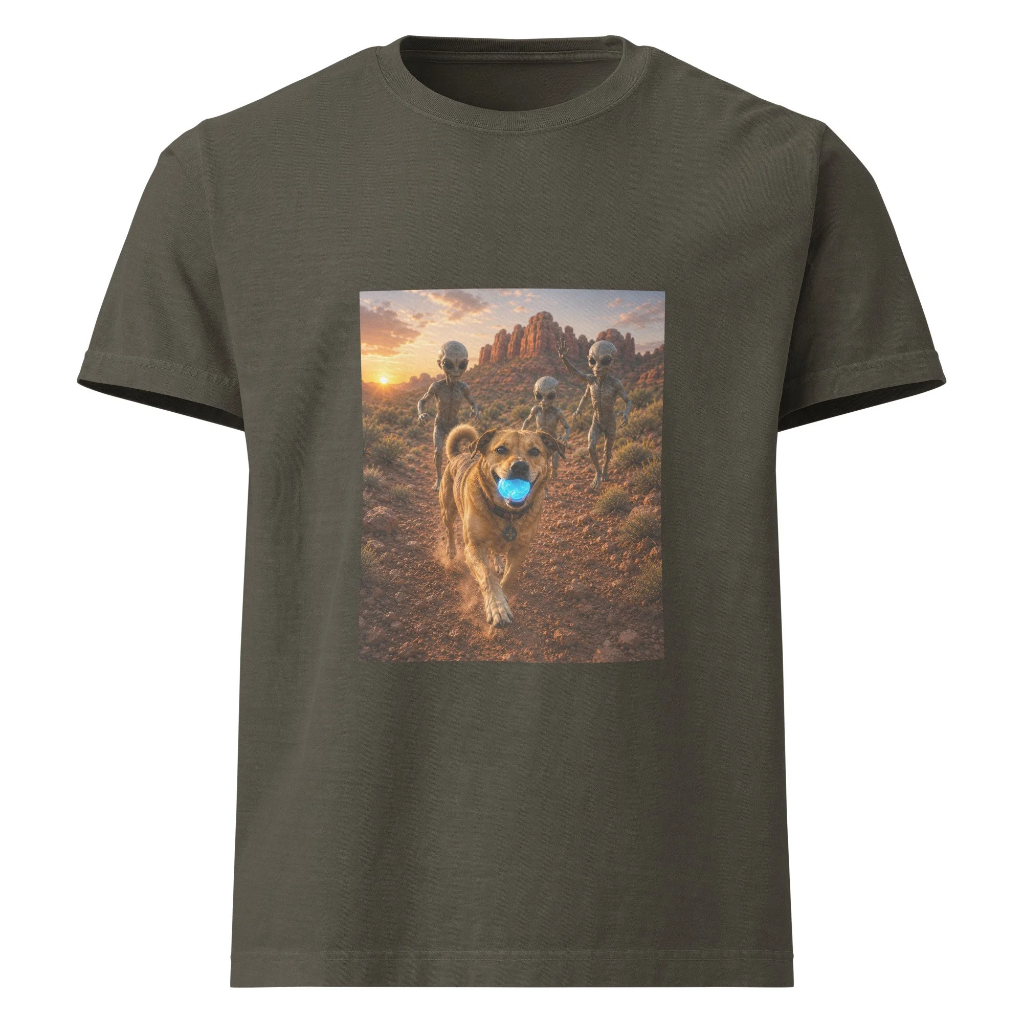 unisex-oversized-garment-dyed-t-shirt-washed-charcoal-front-6a2a6e08491db.jpg