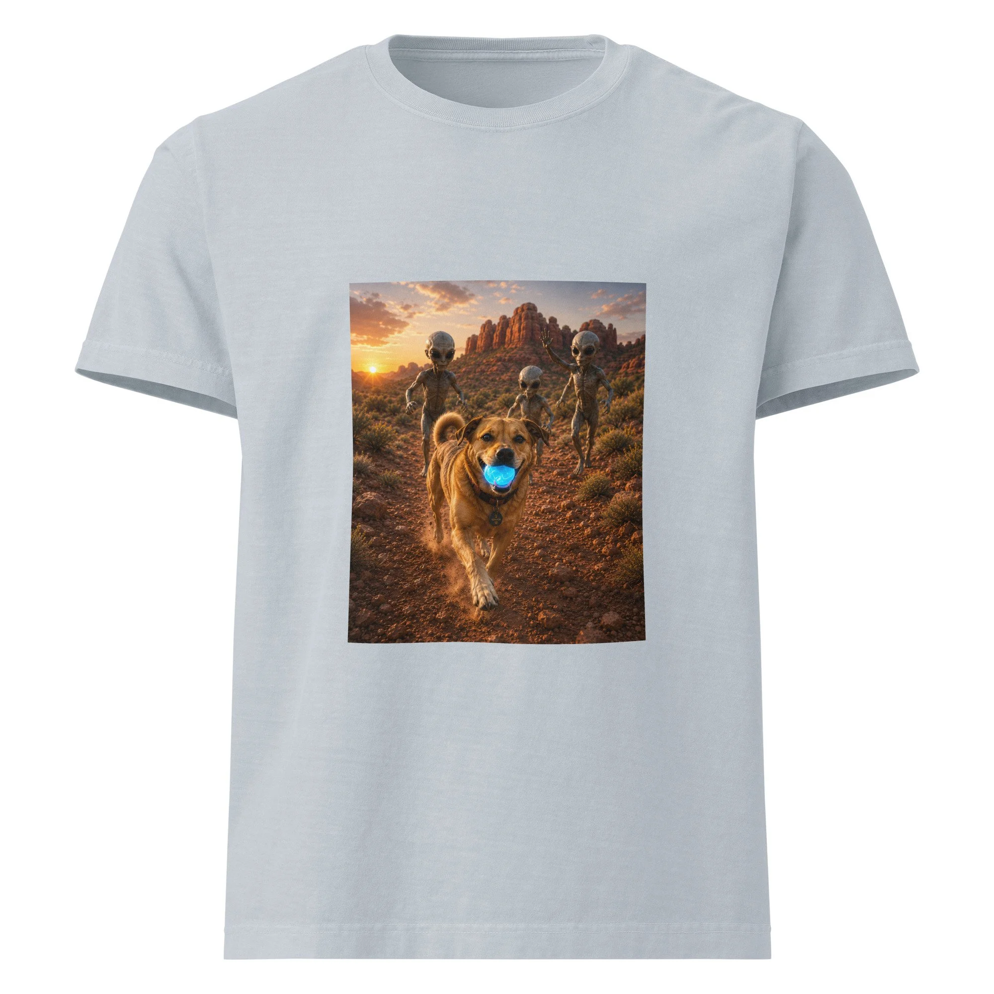unisex-oversized-garment-dyed-t-shirt-light-washed-denim-front-6a2a6e0848fa8.jpg