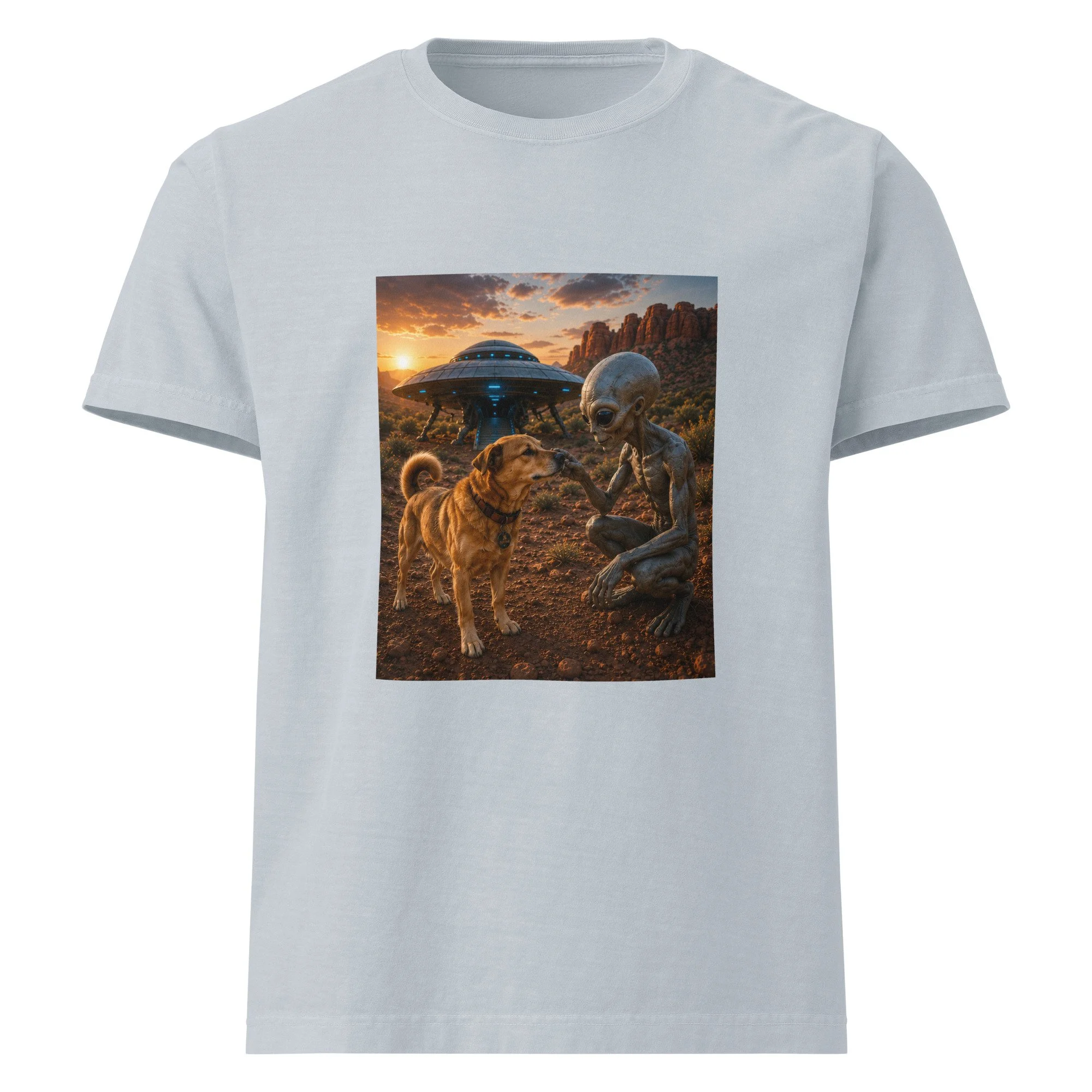 unisex-oversized-garment-dyed-t-shirt-light-washed-denim-front-6a2a6f8eb237f.jpg