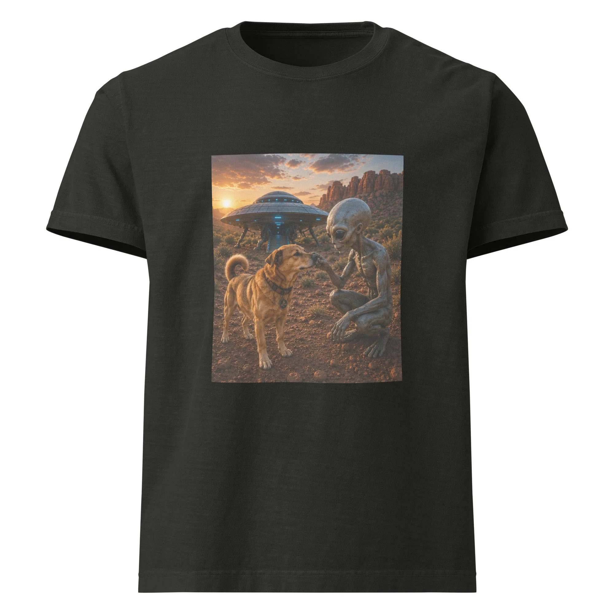 unisex-oversized-garment-dyed-t-shirt-washed-black-front-6a2a6f8eb2608.jpg