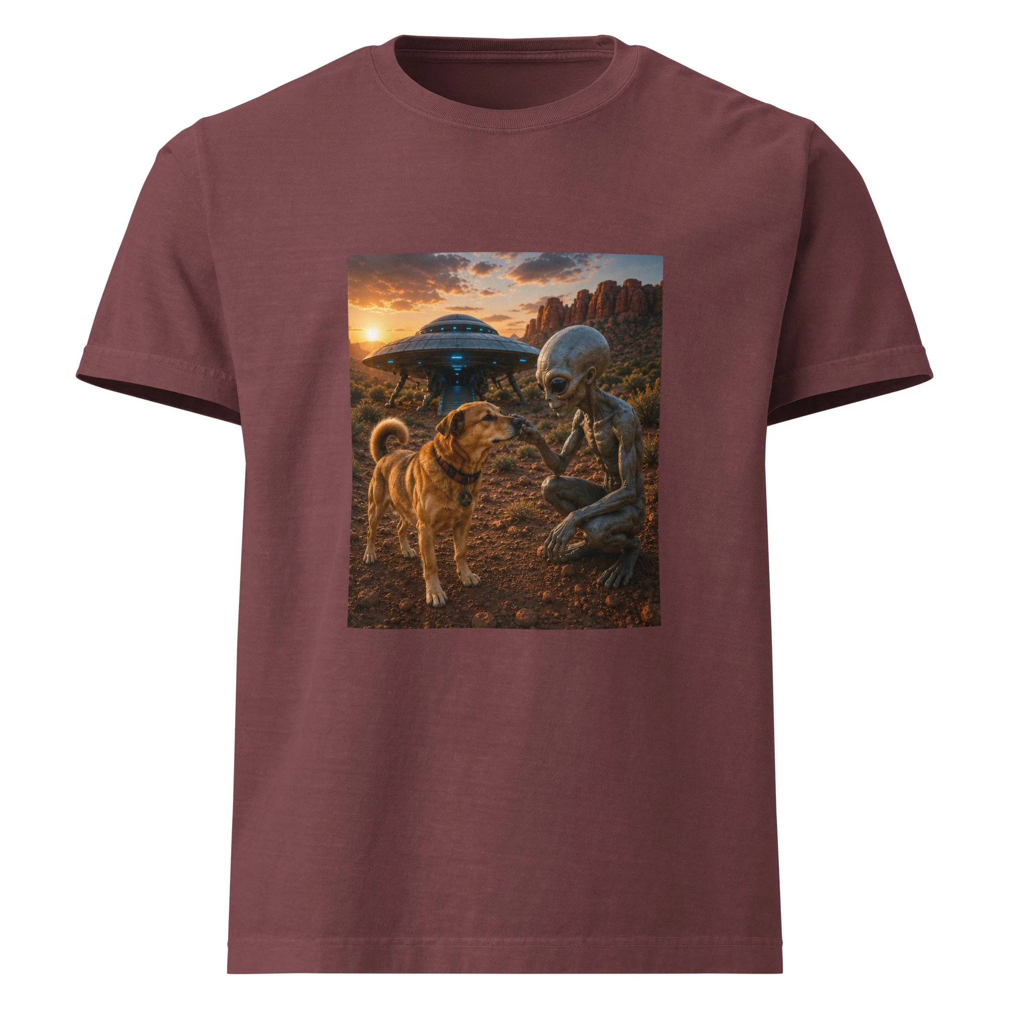 unisex-oversized-garment-dyed-t-shirt-washed-maroon-front-6a2a6f8eb2872.jpg