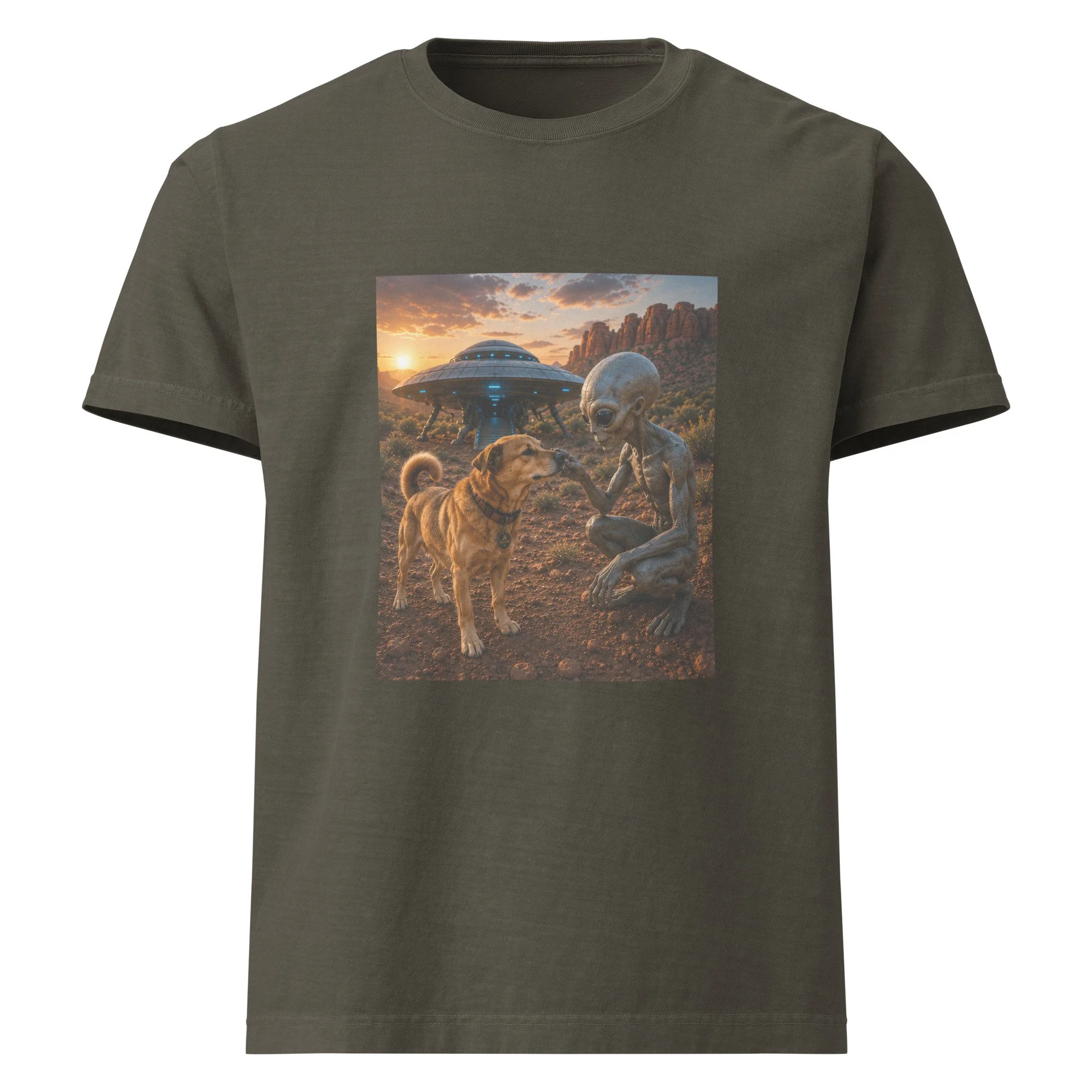 unisex-oversized-garment-dyed-t-shirt-washed-charcoal-front-6a2a6f8eb2749.jpg