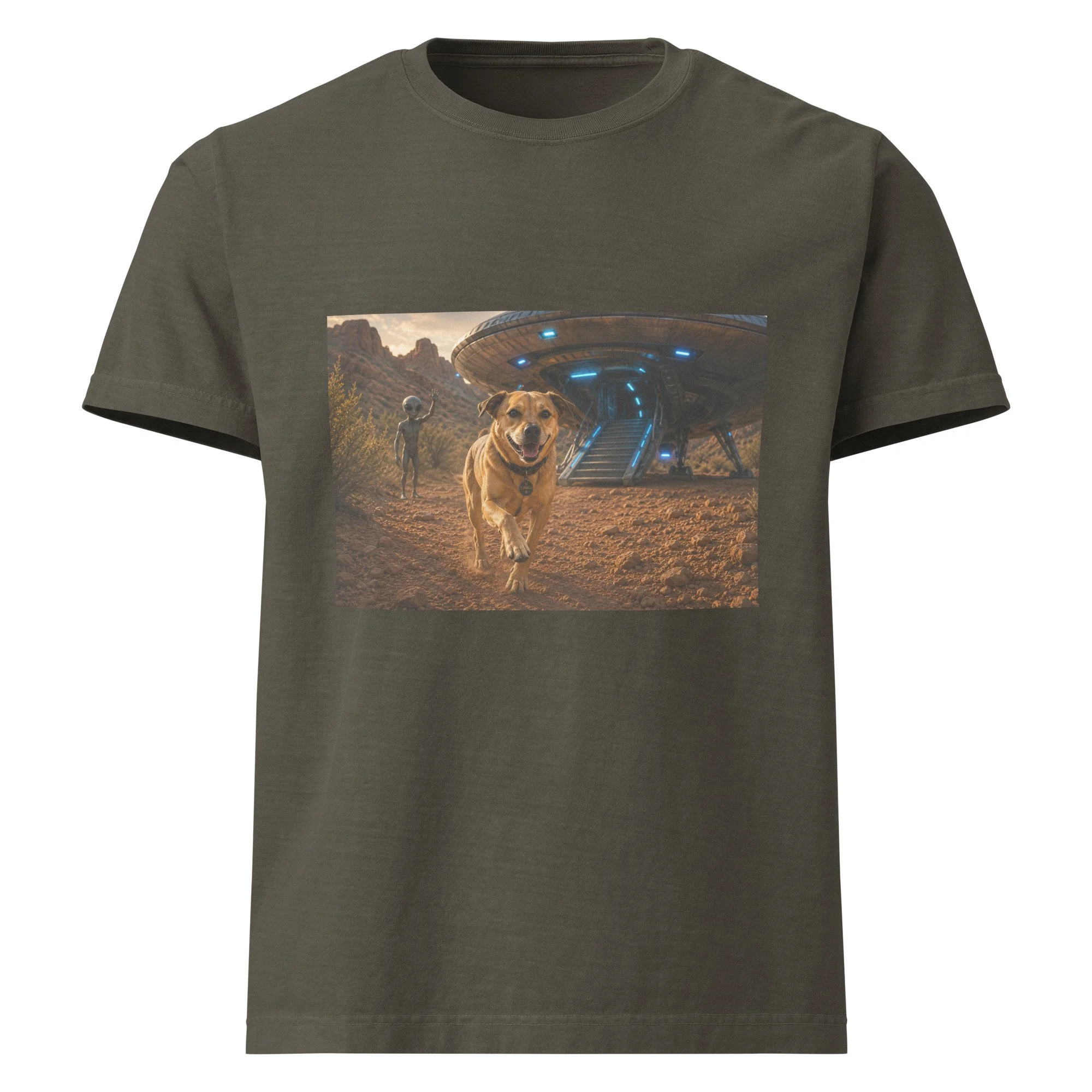 unisex-oversized-garment-dyed-t-shirt-washed-charcoal-front-6a2a70f4ef0c8.jpg