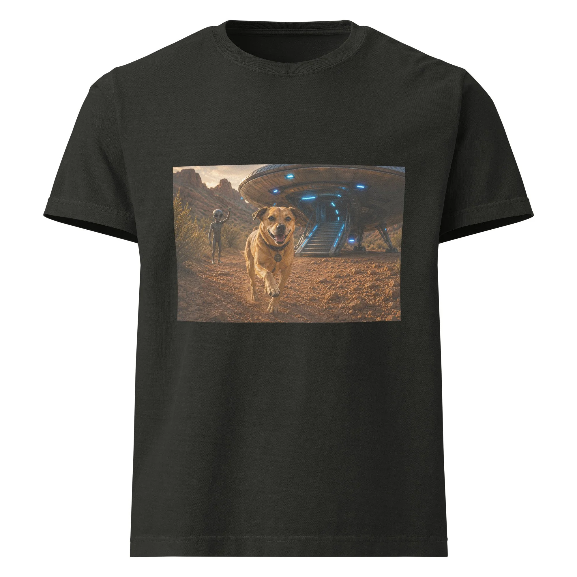 unisex-oversized-garment-dyed-t-shirt-washed-black-front-6a2a70f4eefab.jpg