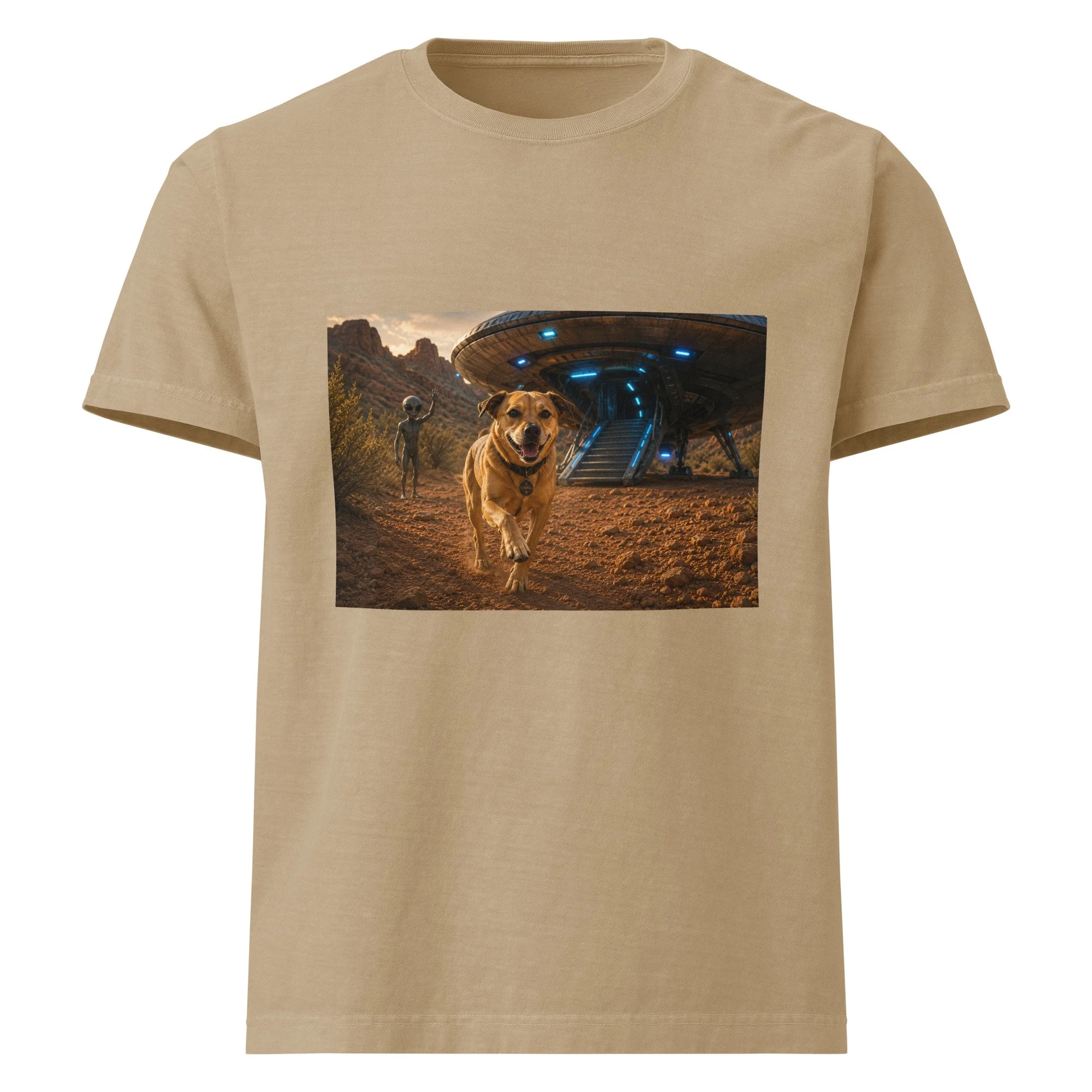 unisex-oversized-garment-dyed-t-shirt-khaki-front-6a2a70f4ed691.jpg