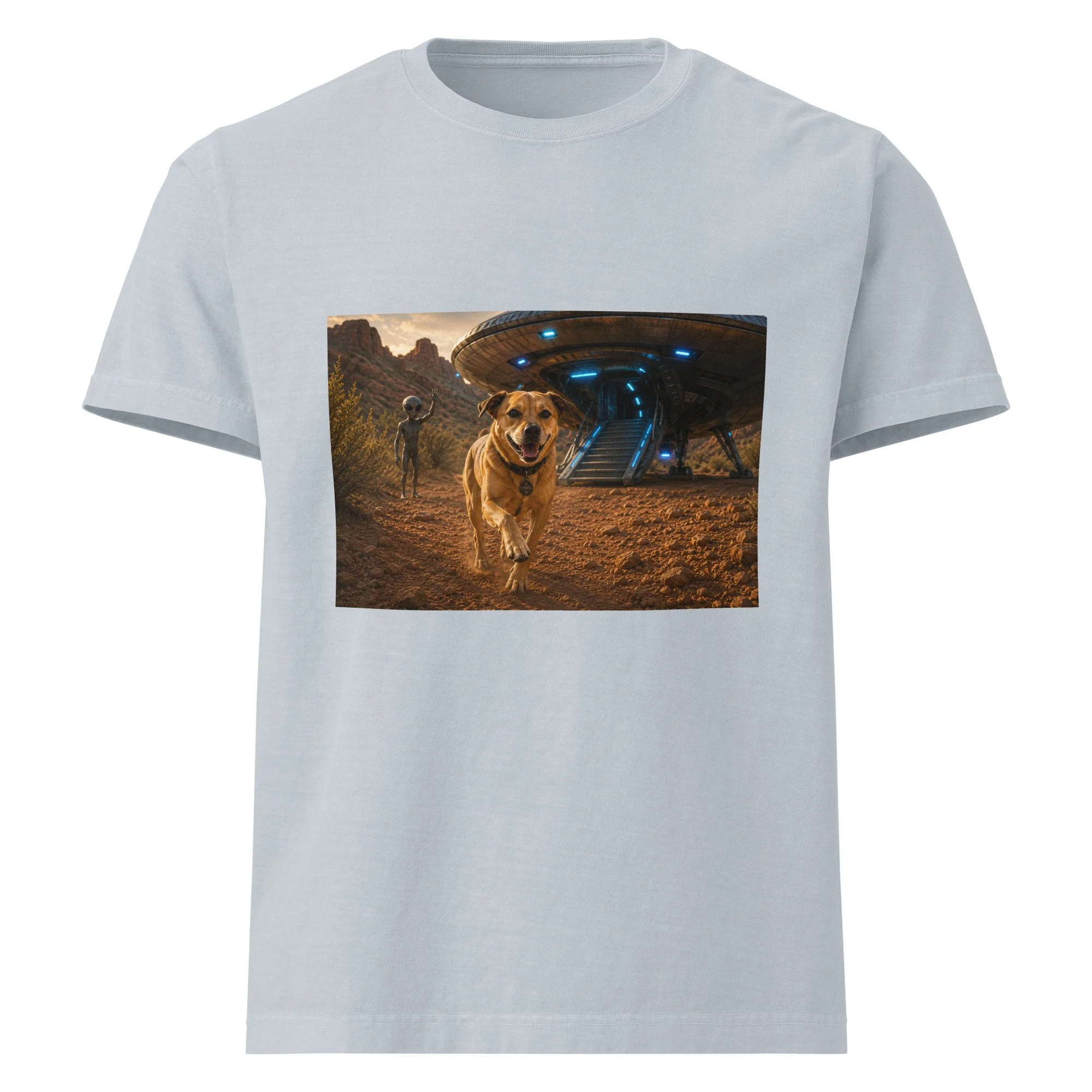 unisex-oversized-garment-dyed-t-shirt-light-washed-denim-front-6a2a70f4eed23.jpg