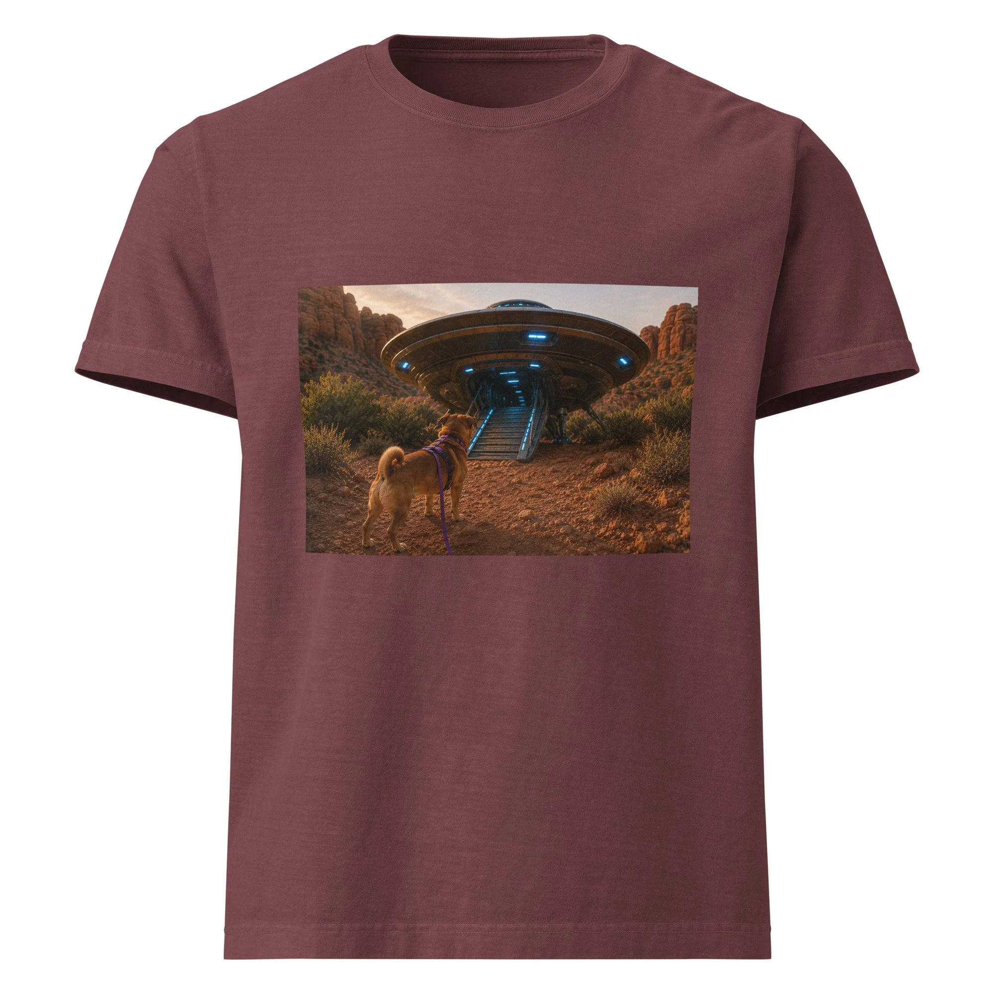 unisex-oversized-garment-dyed-t-shirt-washed-maroon-front-6a2a727803107.jpg