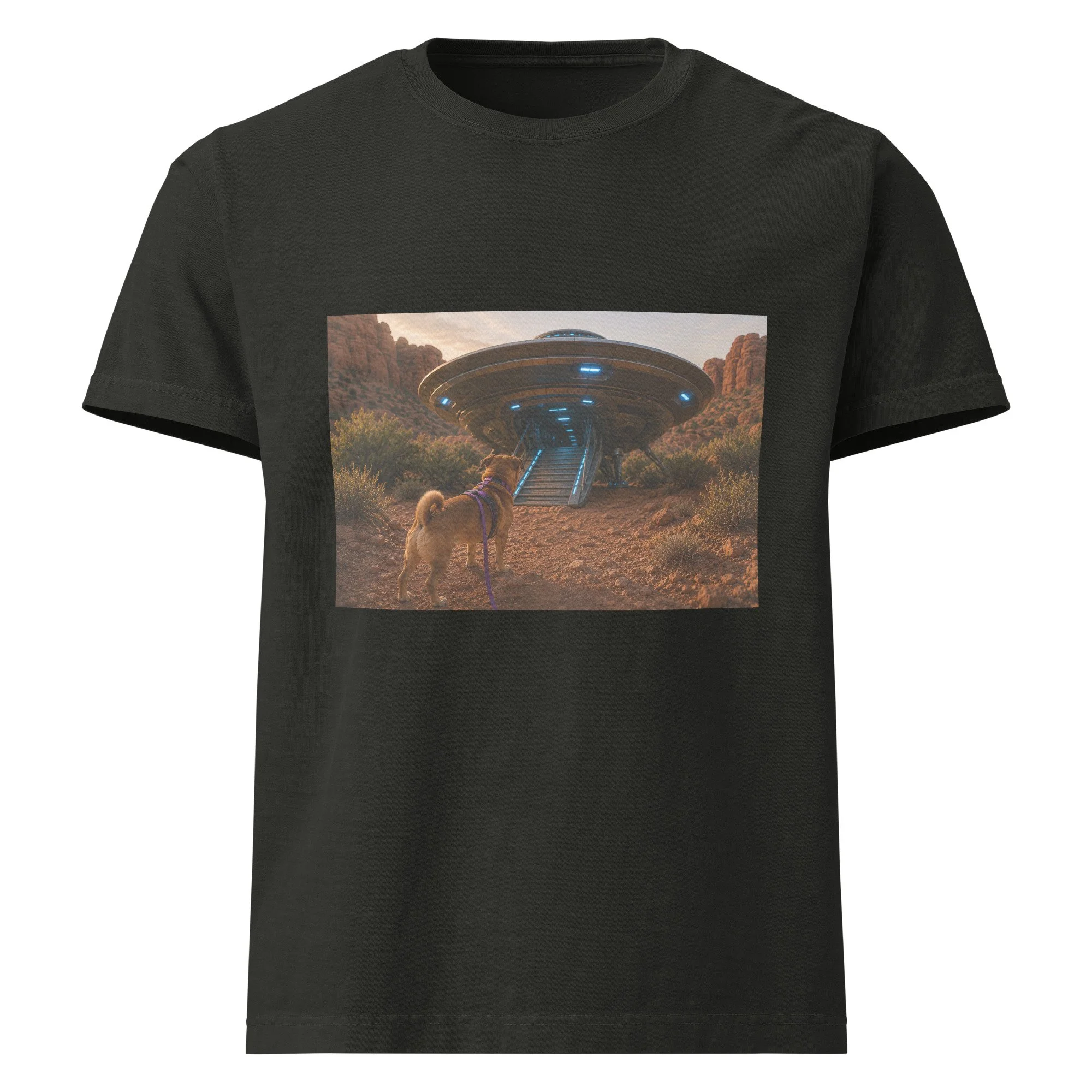 unisex-oversized-garment-dyed-t-shirt-washed-black-front-6a2a727802f47.jpg