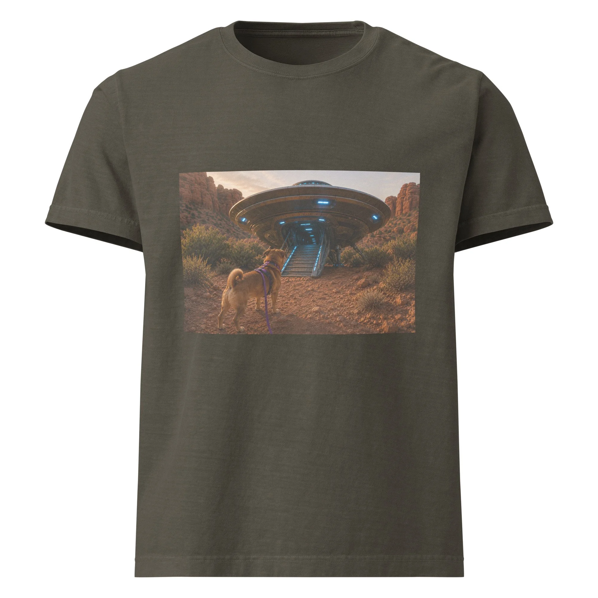 unisex-oversized-garment-dyed-t-shirt-washed-charcoal-front-6a2a727803027.jpg