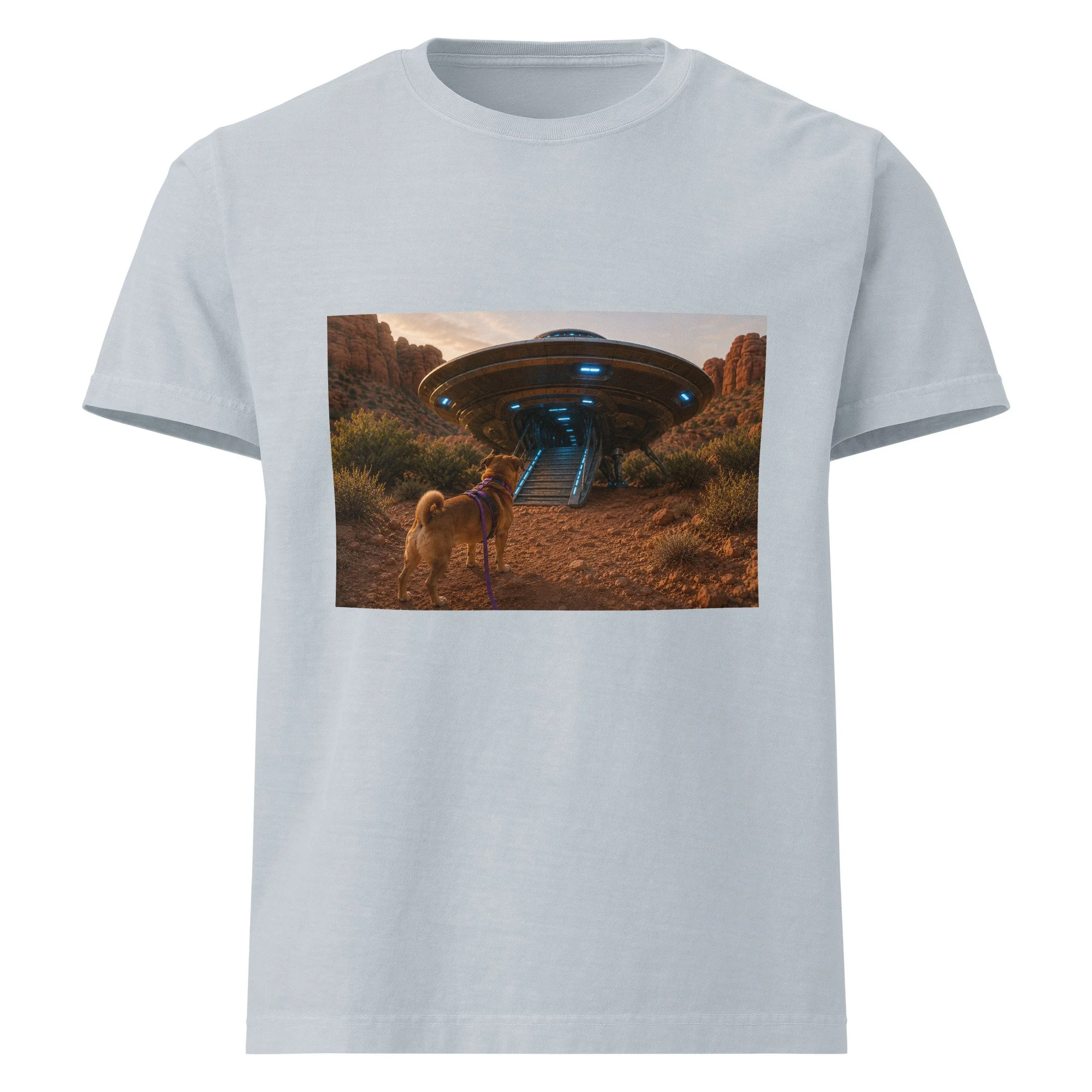 unisex-oversized-garment-dyed-t-shirt-light-washed-denim-front-6a2a727802d51.jpg