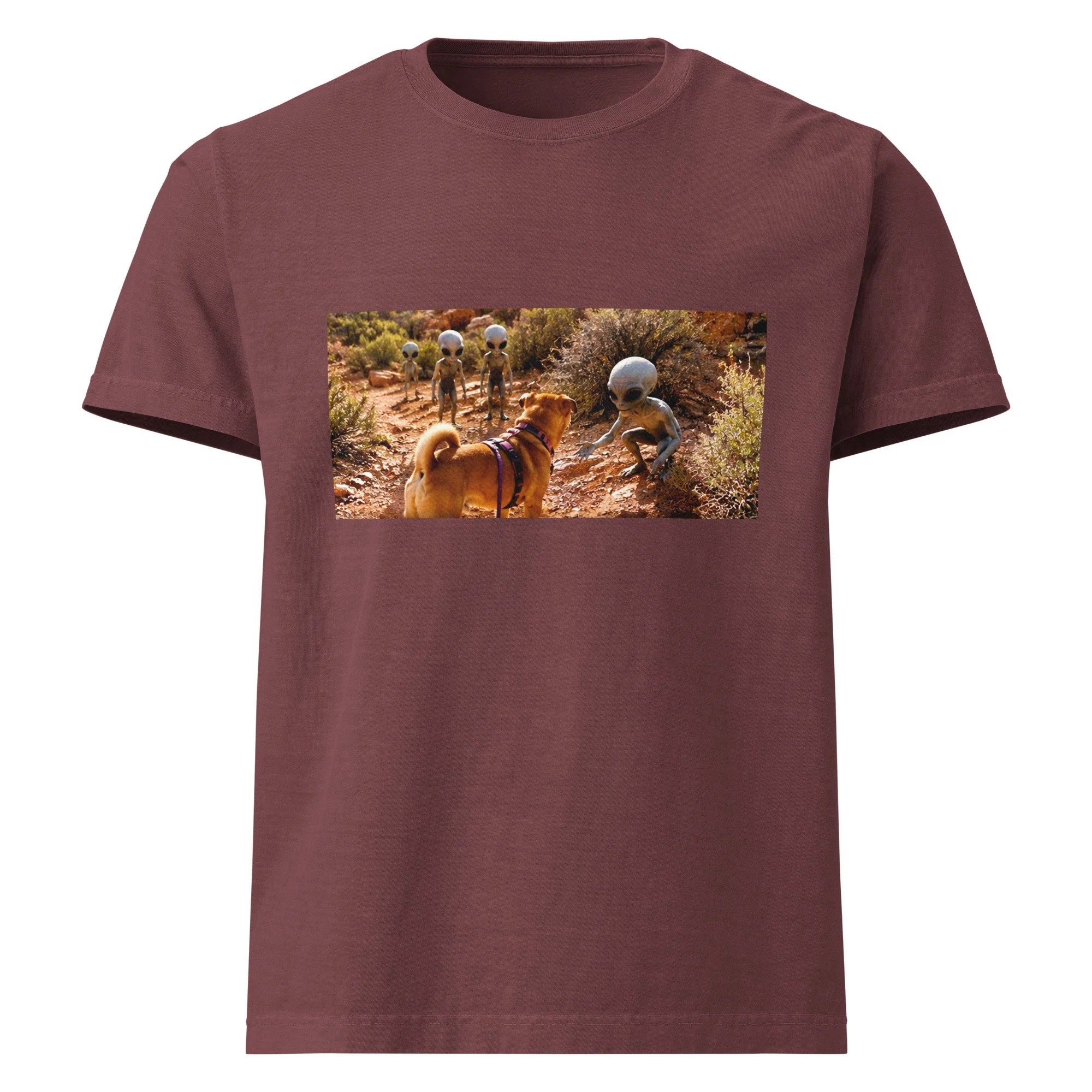 unisex-oversized-garment-dyed-t-shirt-washed-maroon-front-6a2a76c81ee10.jpg