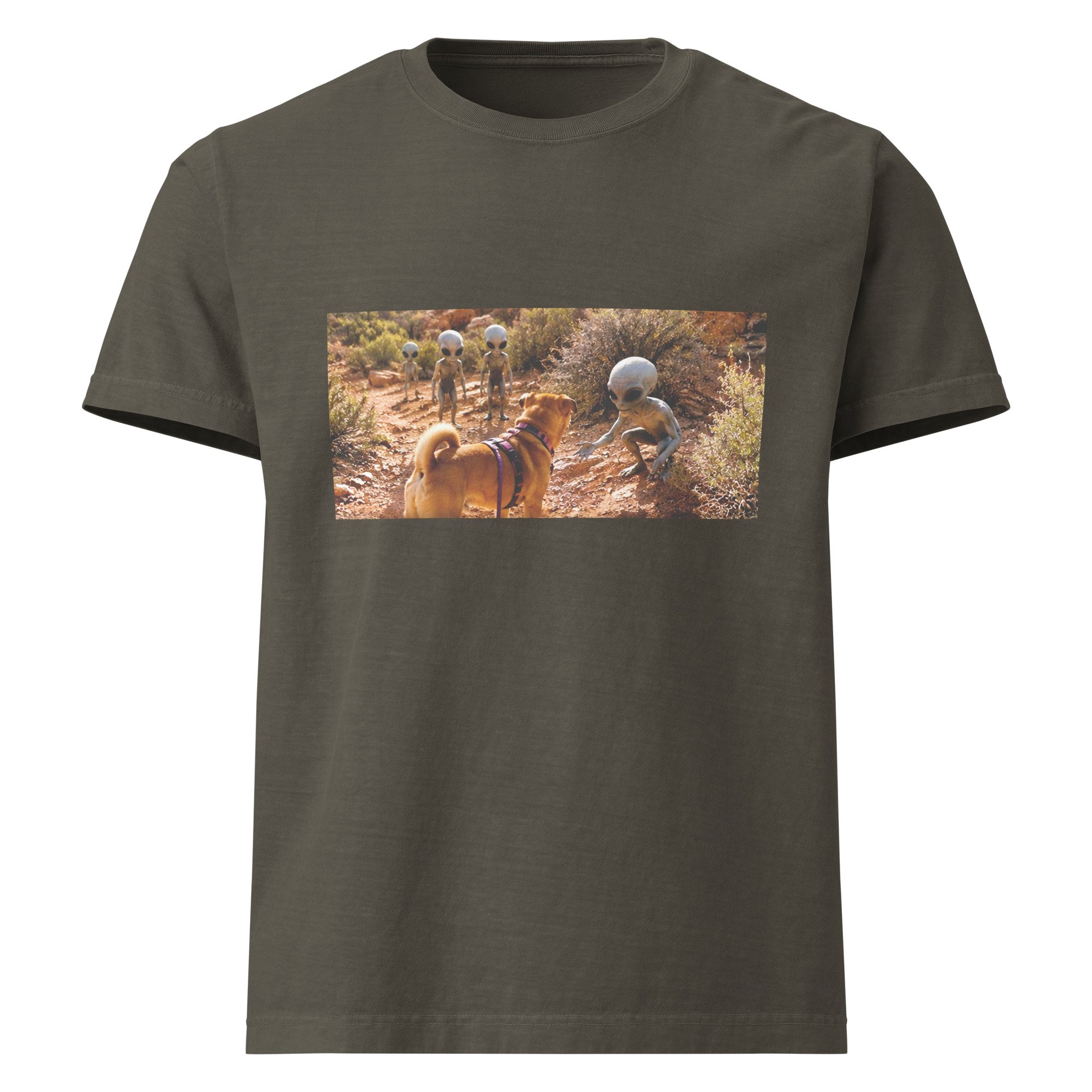 unisex-oversized-garment-dyed-t-shirt-washed-charcoal-front-6a2a76c81ebac.jpg