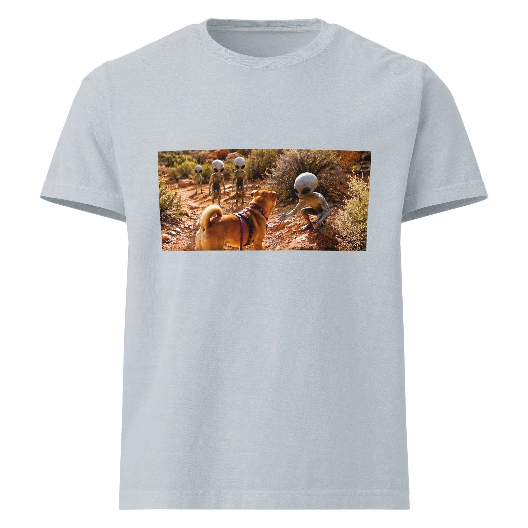 unisex-oversized-garment-dyed-t-shirt-light-washed-denim-front-6a2a76c81e96f.jpg