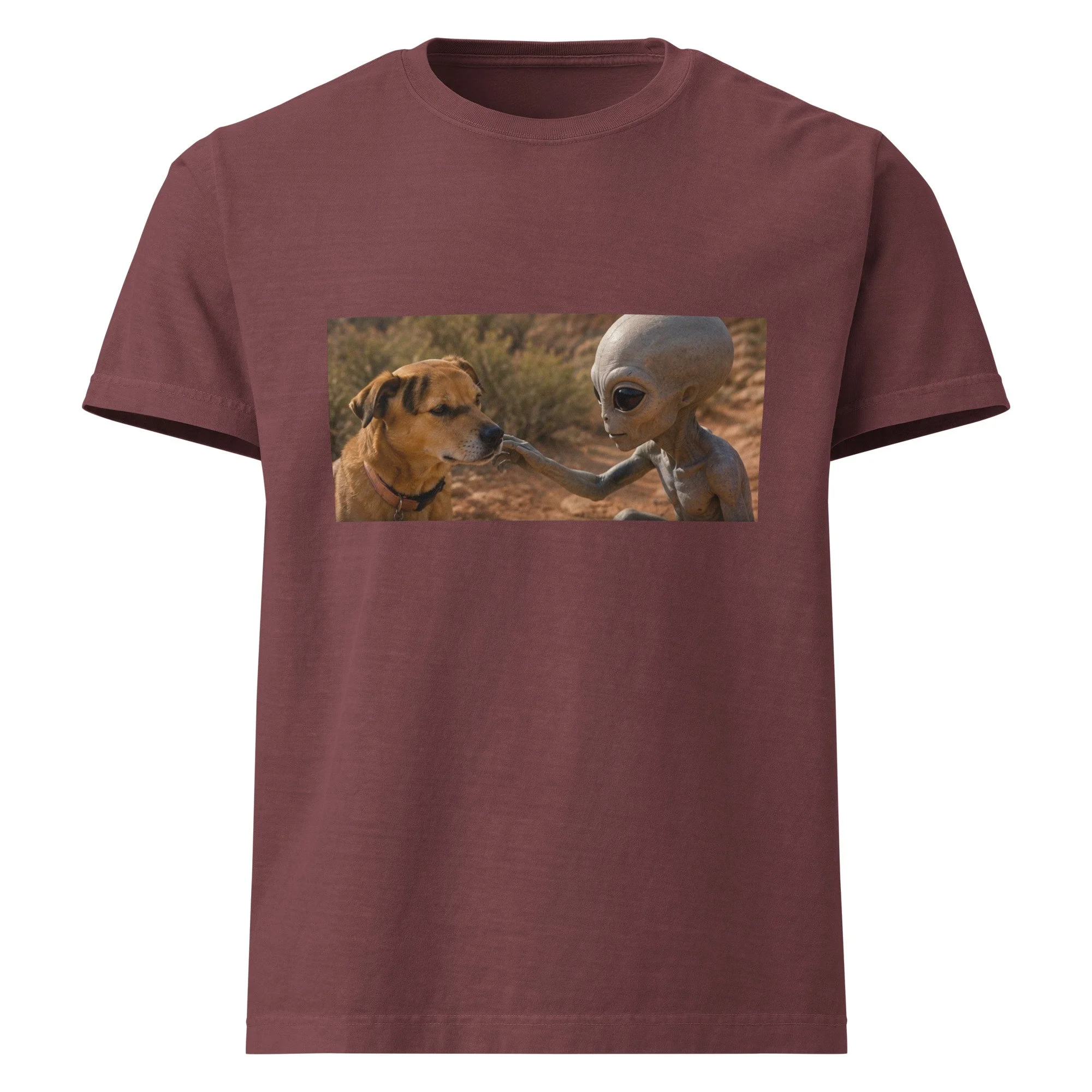 unisex-oversized-garment-dyed-t-shirt-washed-maroon-front-6a2a77ba6eb0e.jpg