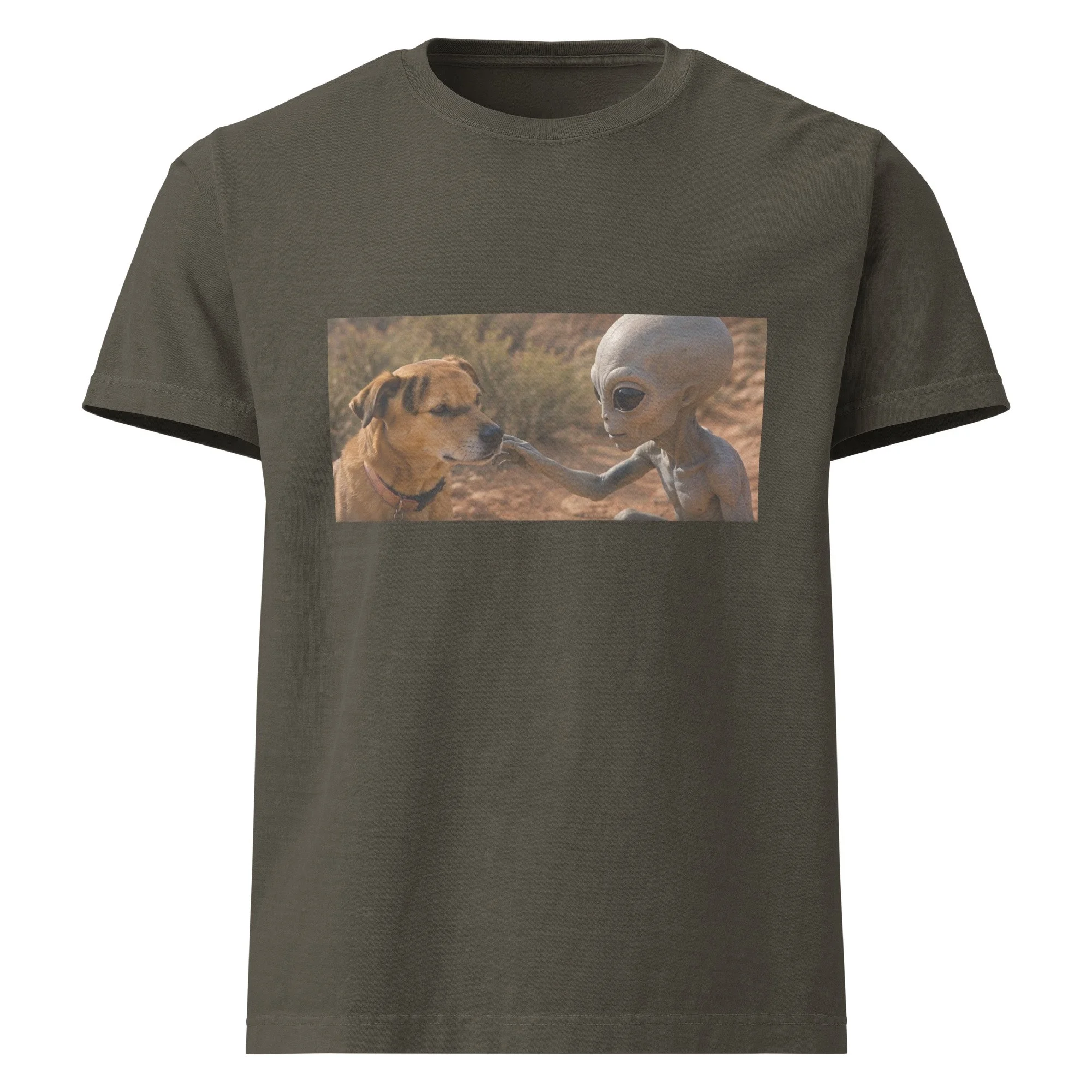 unisex-oversized-garment-dyed-t-shirt-washed-charcoal-front-6a2a77ba6e9e1.jpg