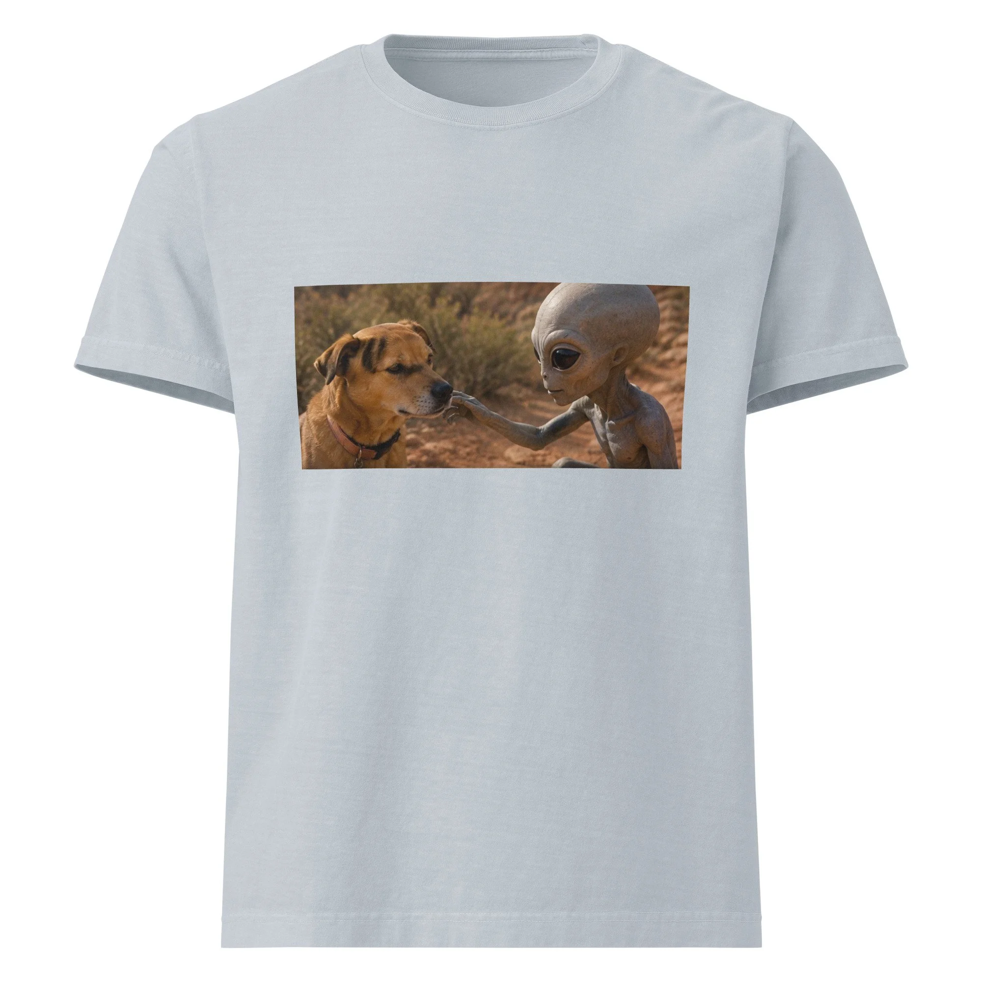 unisex-oversized-garment-dyed-t-shirt-light-washed-denim-front-6a2a77ba6e640.jpg