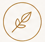 Simple illustration of a leaf inside a circle