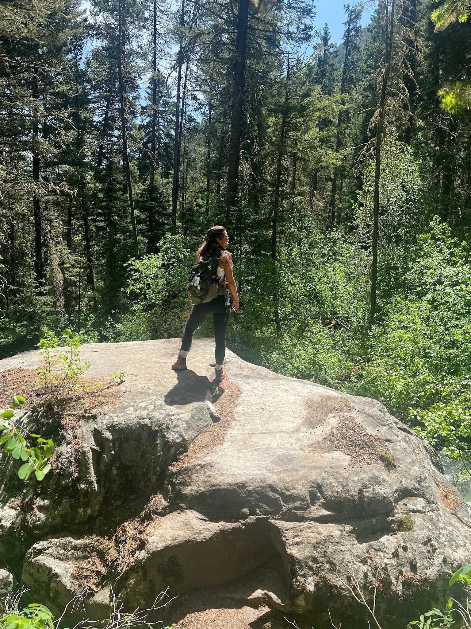 A woman wearing hiking gear standing on a large rock surrounded by a dense forest with tall trees and green foliage, sunlight filtering through the canopy.