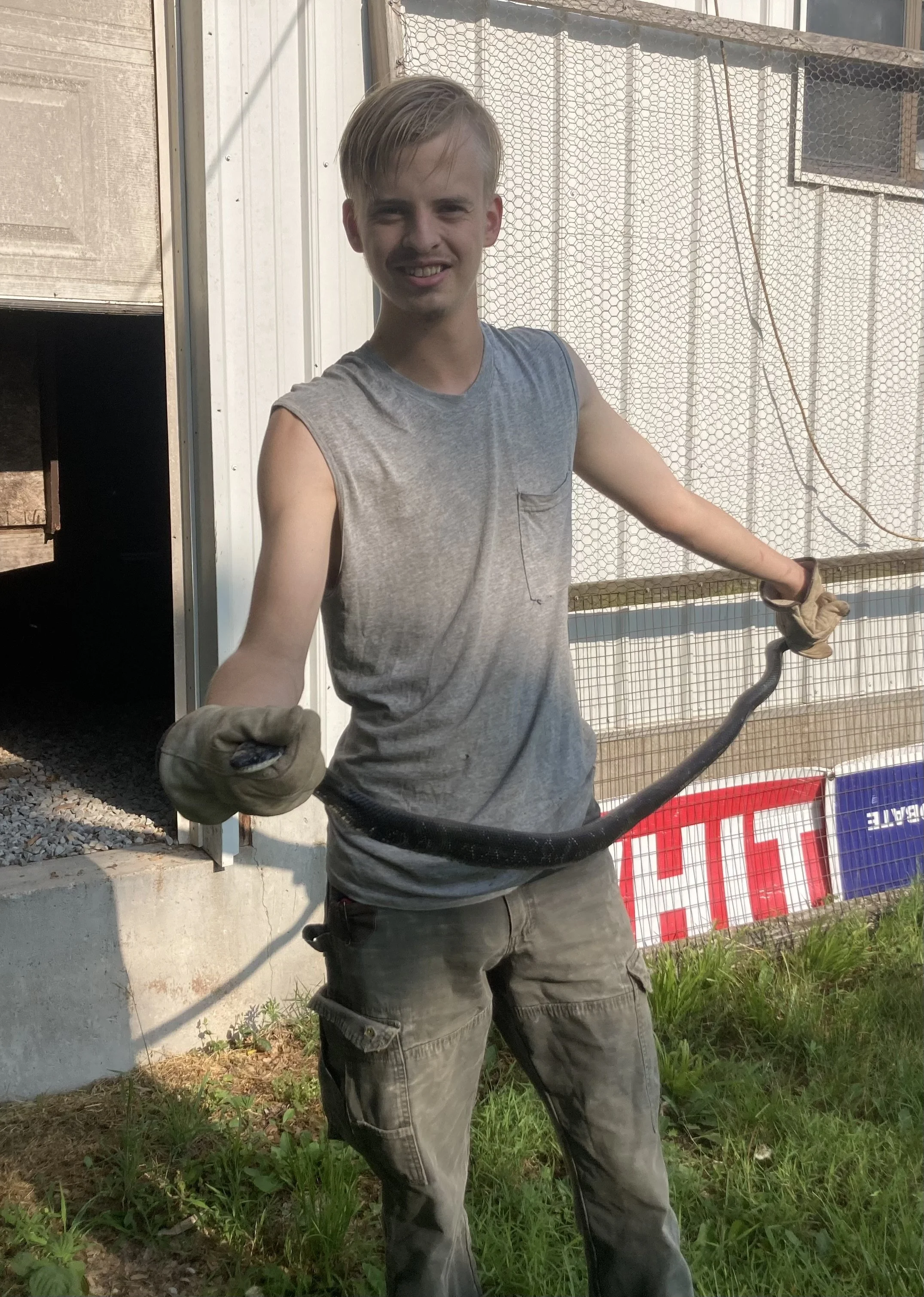 A Day in the Life of a Peace Valley Poultry Intern