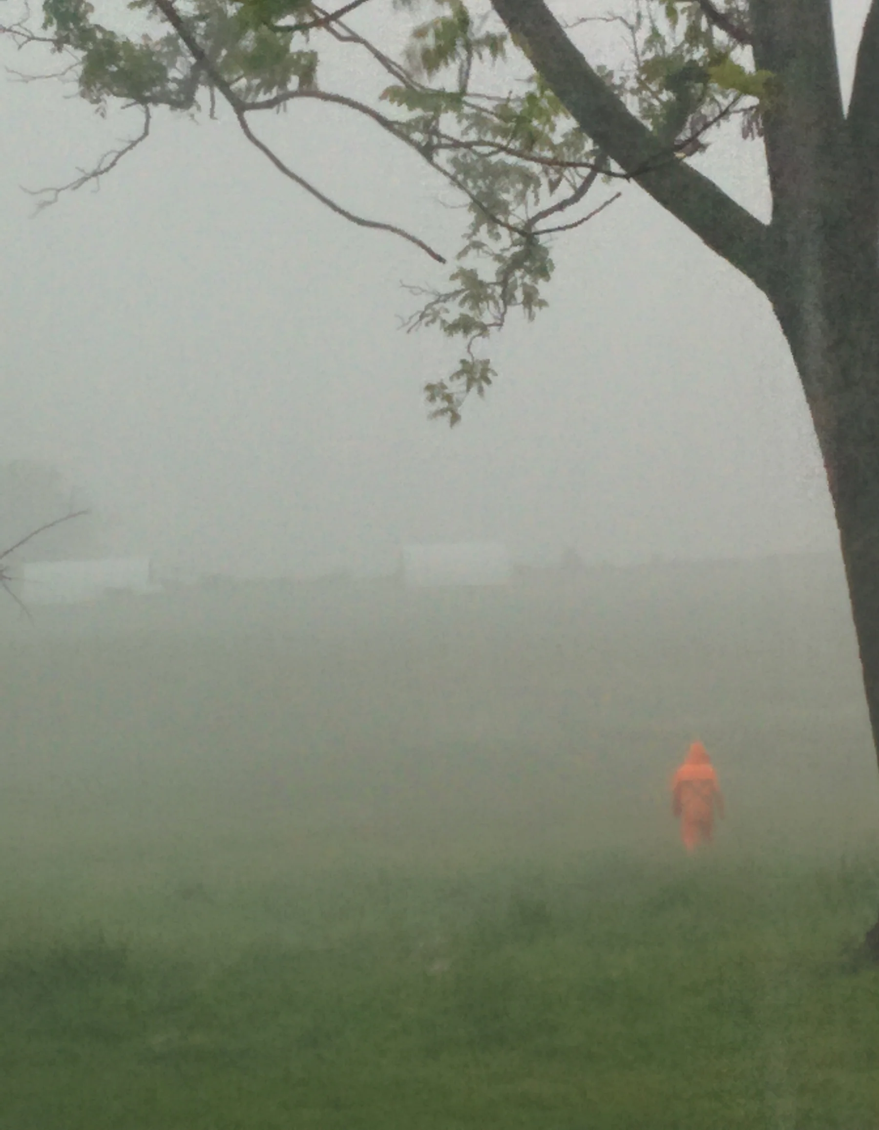 Jim in rain