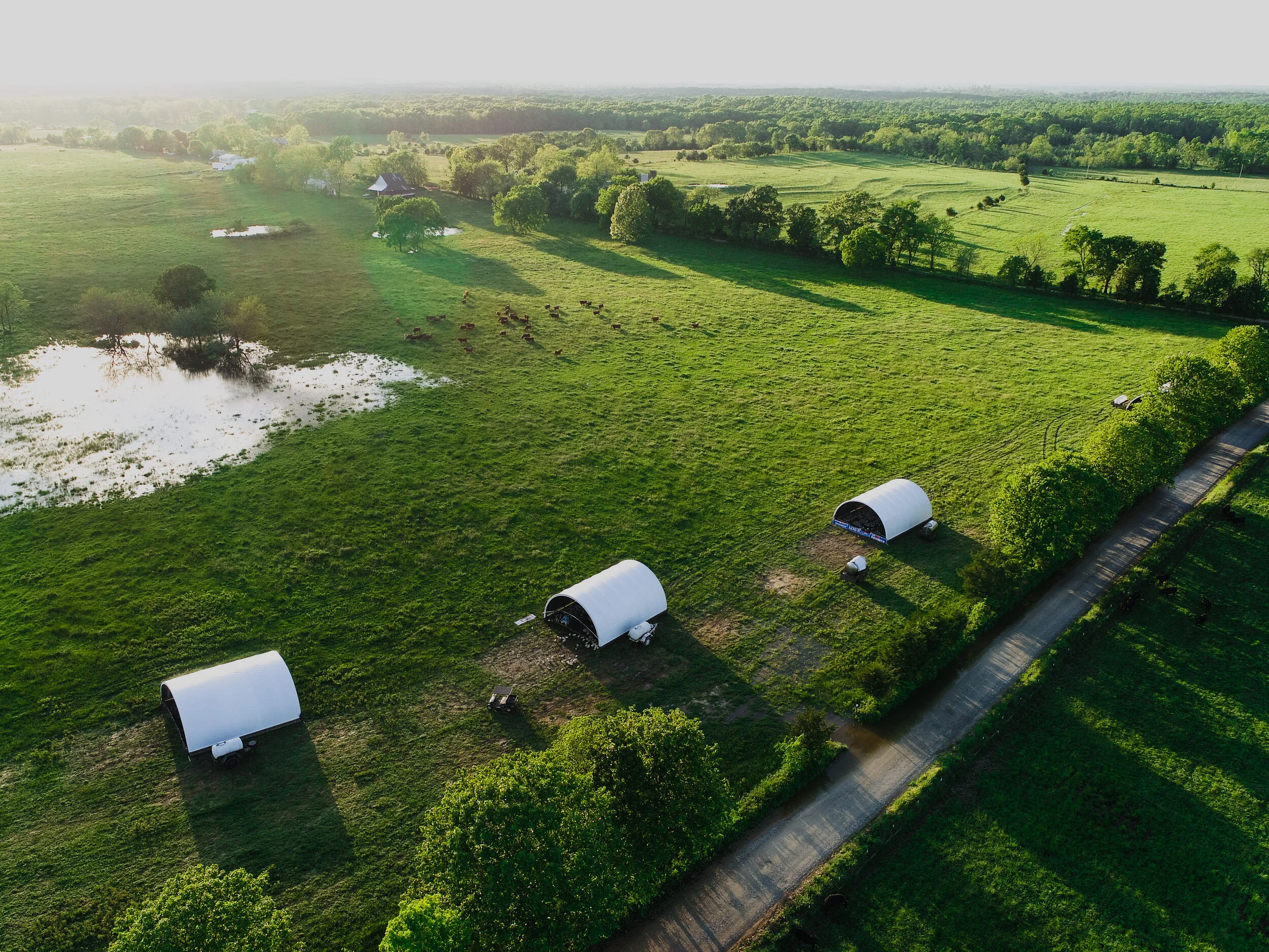 DJI_0109.jpg