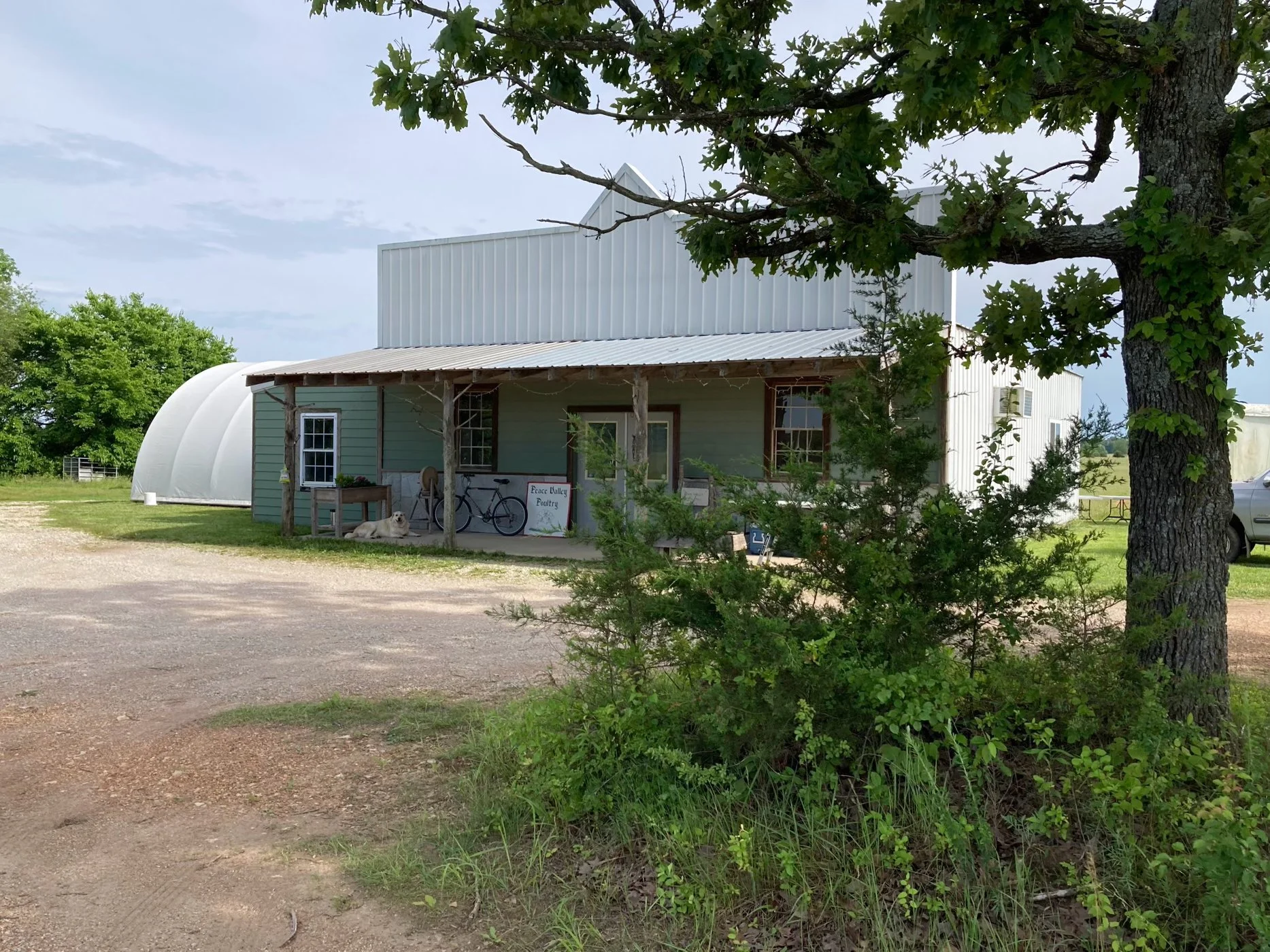 A rustic building with a porch, surrounded by green trees and grass, with a gravel driveway in front. There are bicycles and a sign that reads "Eau Valley Poultry" on the porch, and a dog resting on the ground nearby.