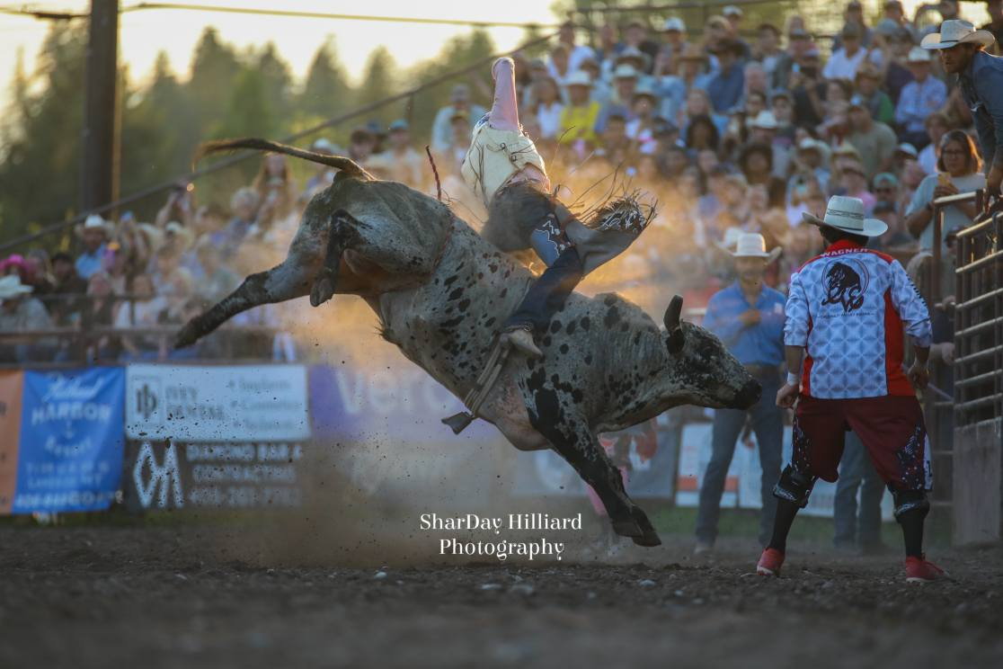 Brash Rodeo Summer Series