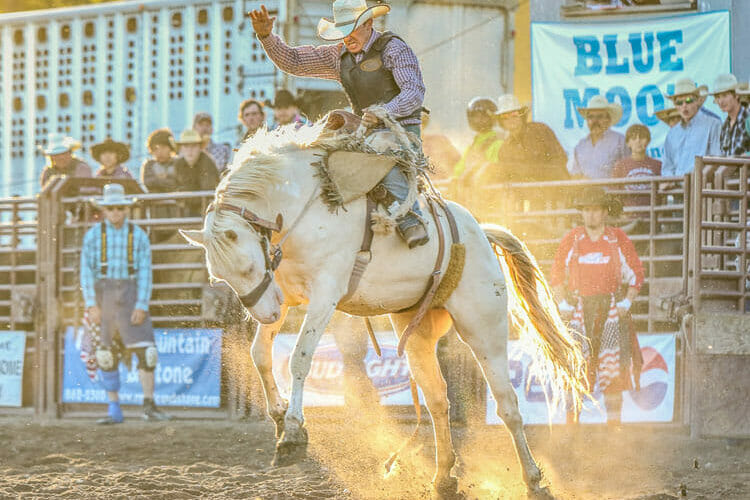 Brash Rodeo Summer Series