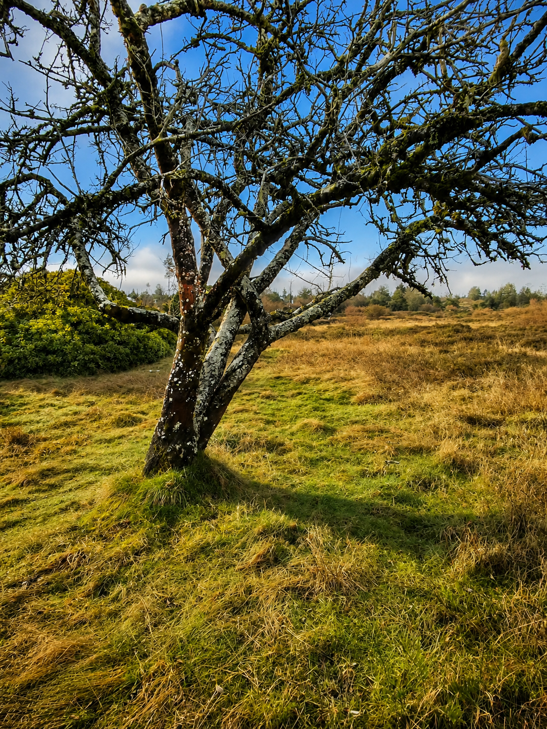 ChatGPT Image 4 ago 2026, 21_22_46.png