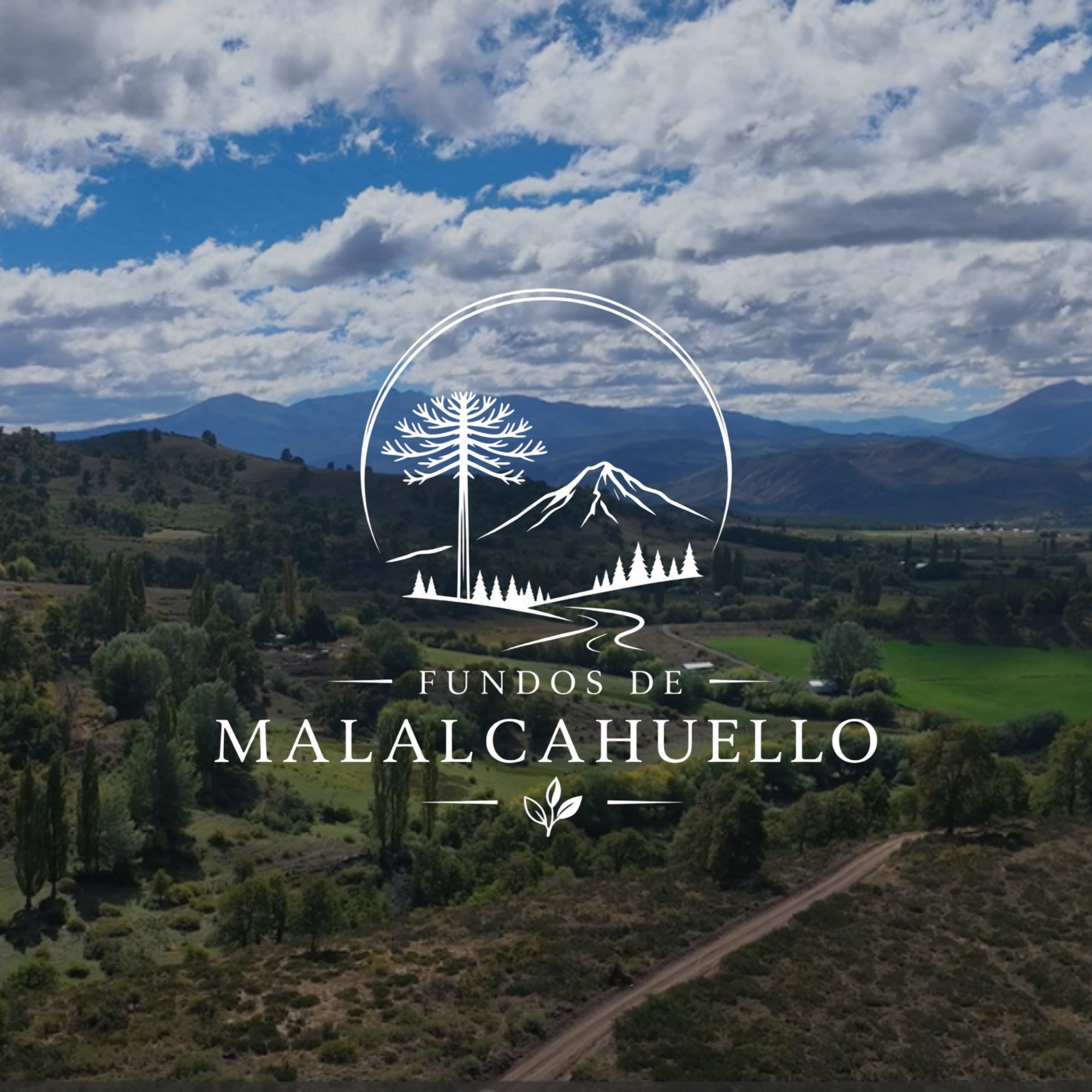 Logotipo en blanco (recreación) (1).png