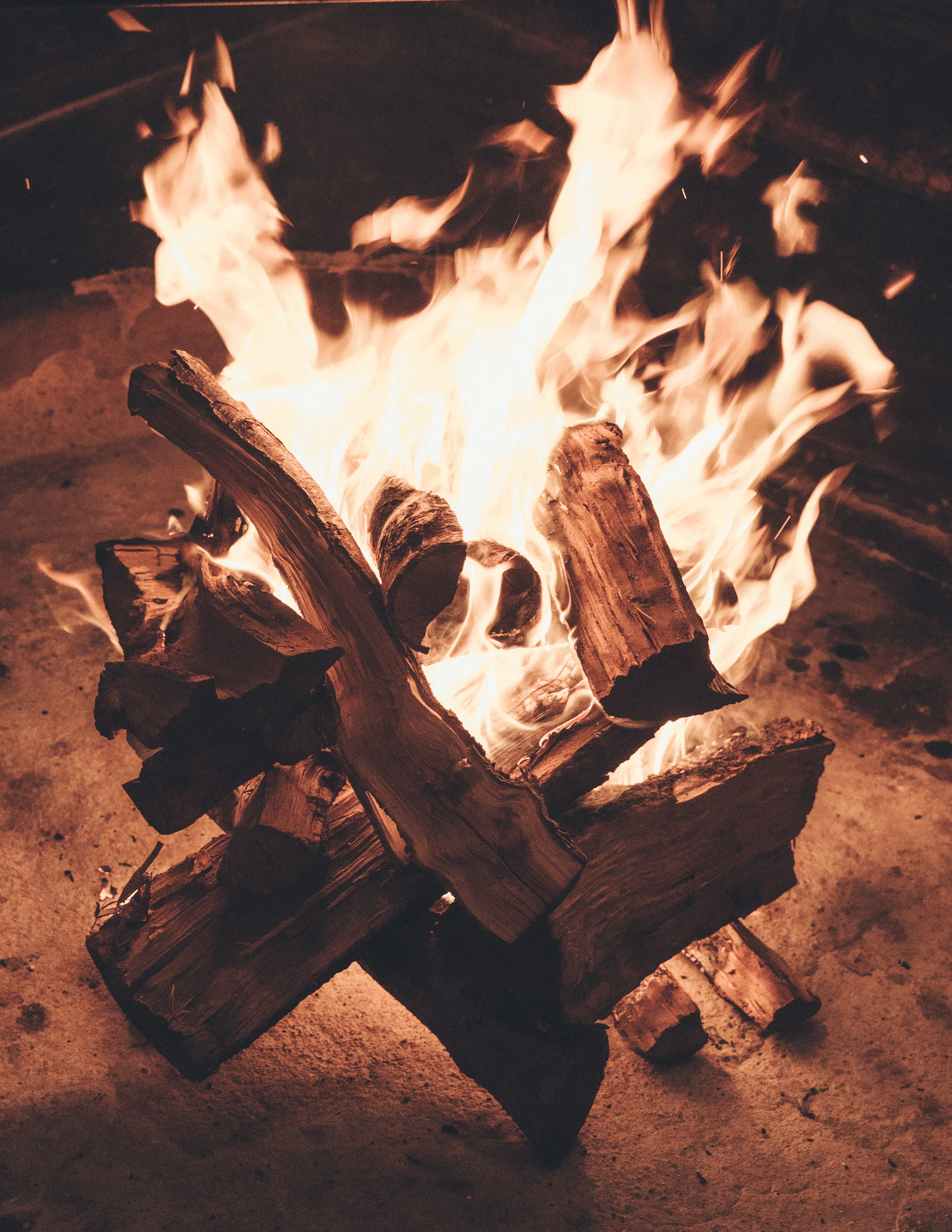 WOOD-5239.jpg