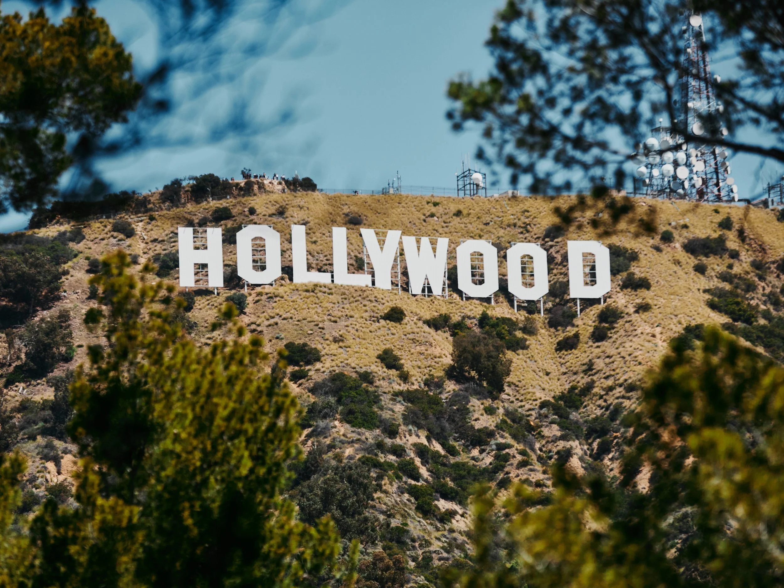 hollywoodland__MG_9336.jpg