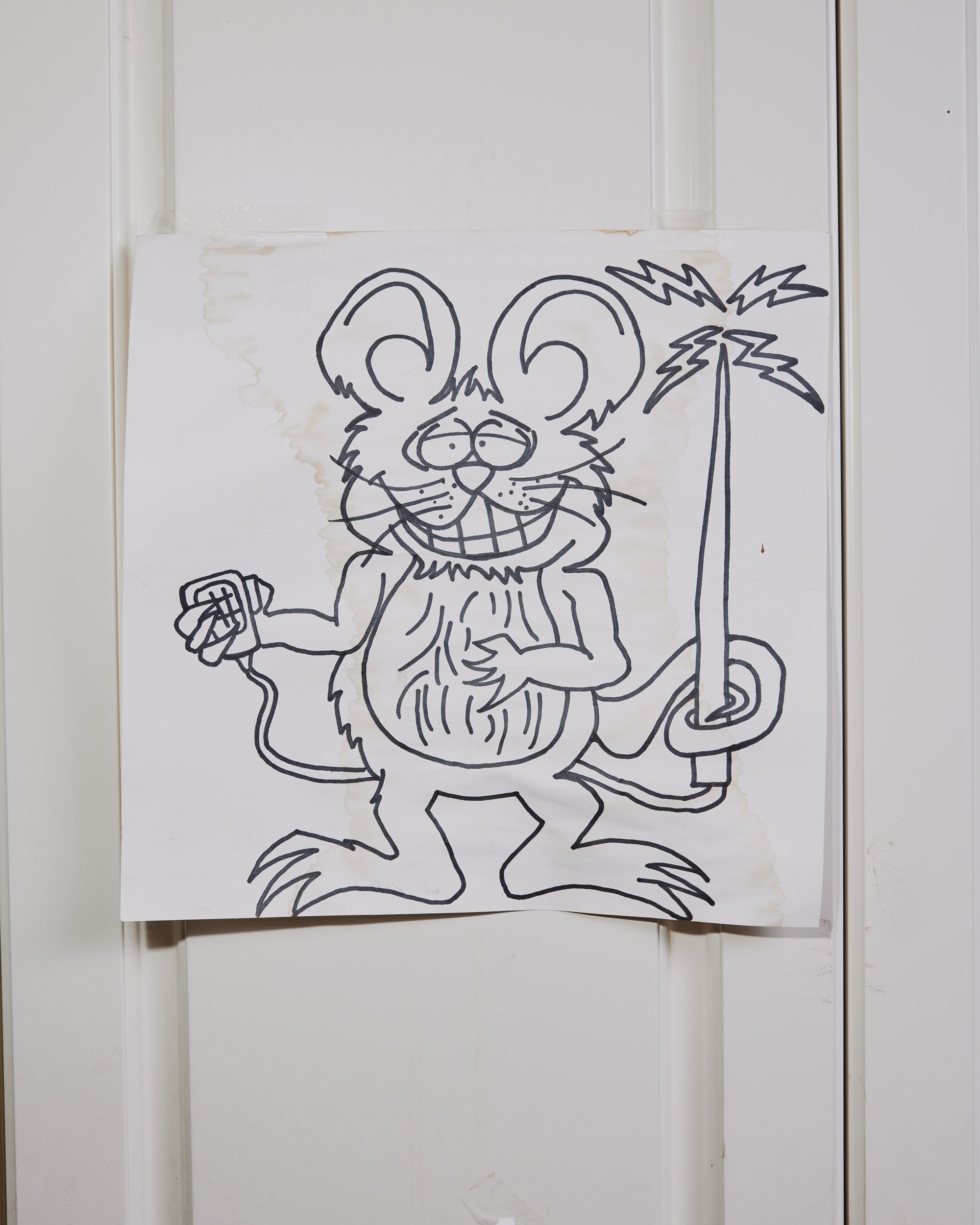 HAM_K0A7935.jpg