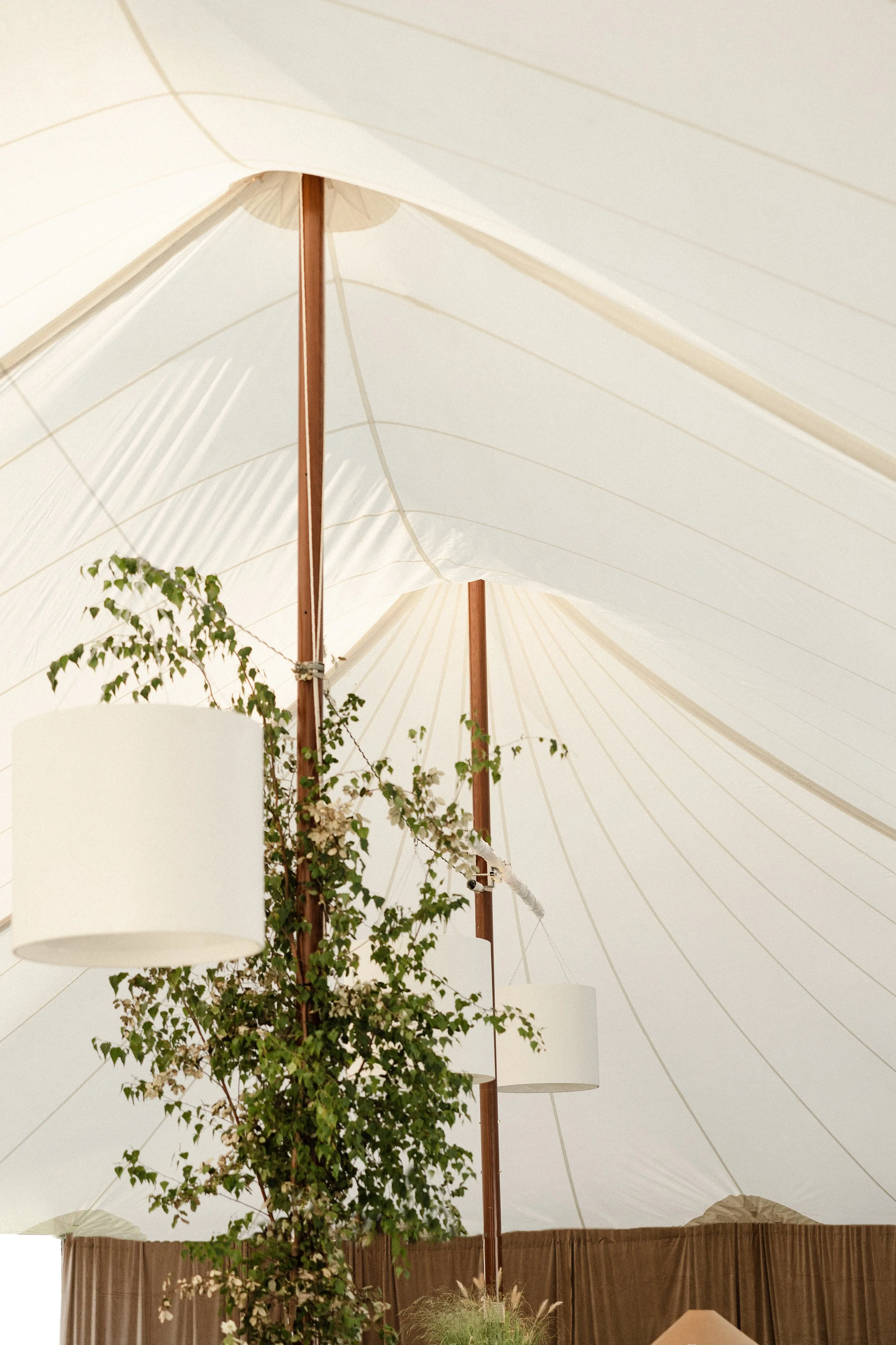 Interior view of a white tent ceiling with wooden poles, hanging white lamps, and green plants in the foreground.