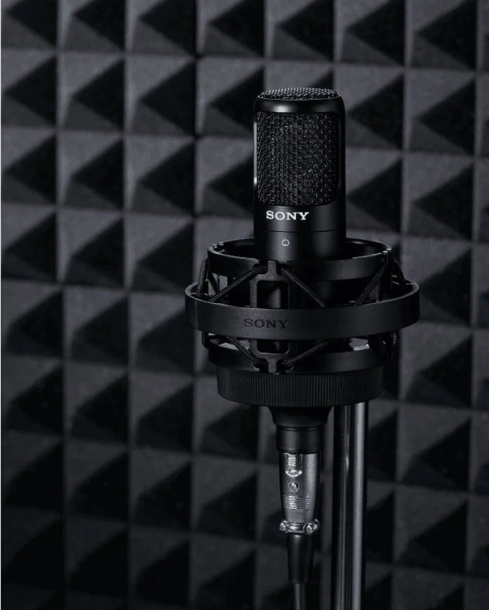 A Sony microphone mounted in a shock mount, set against acoustic foam panels.