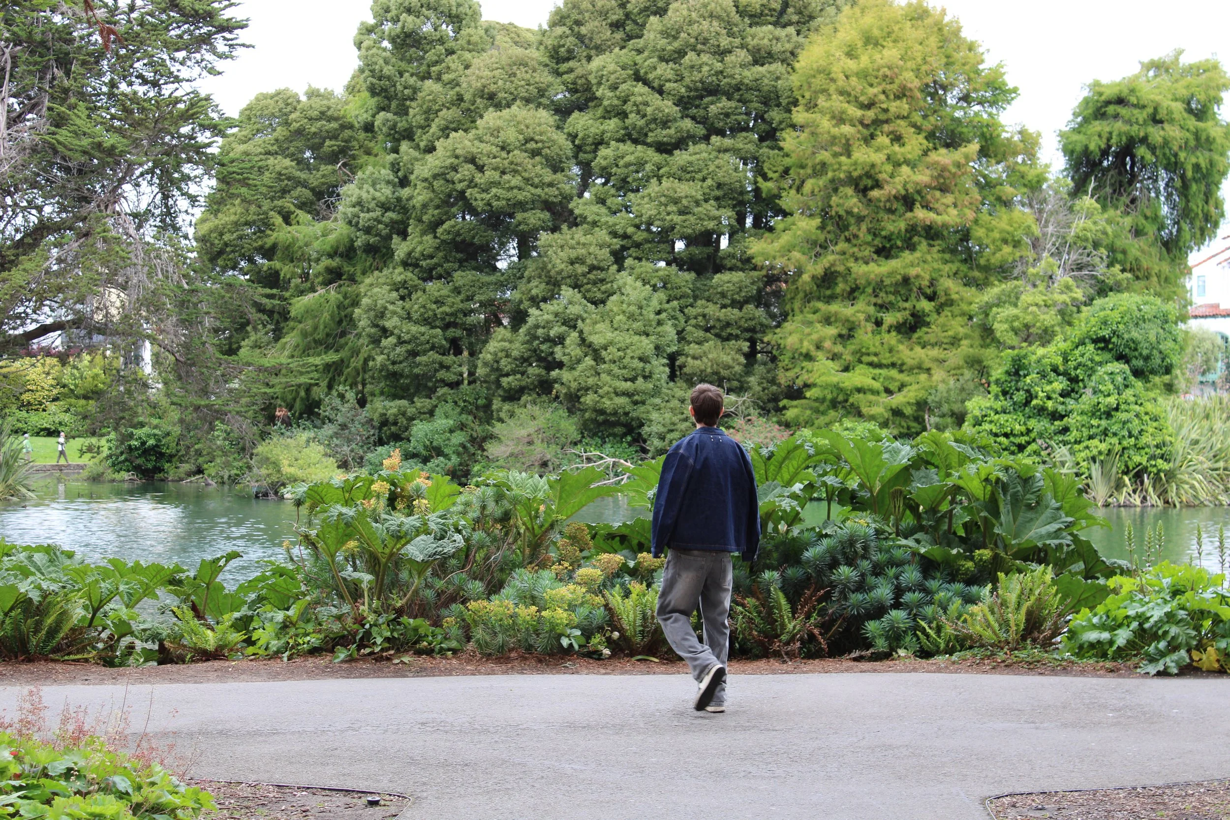 Person walking along a path near a pond with lush green trees and plants in the background.
