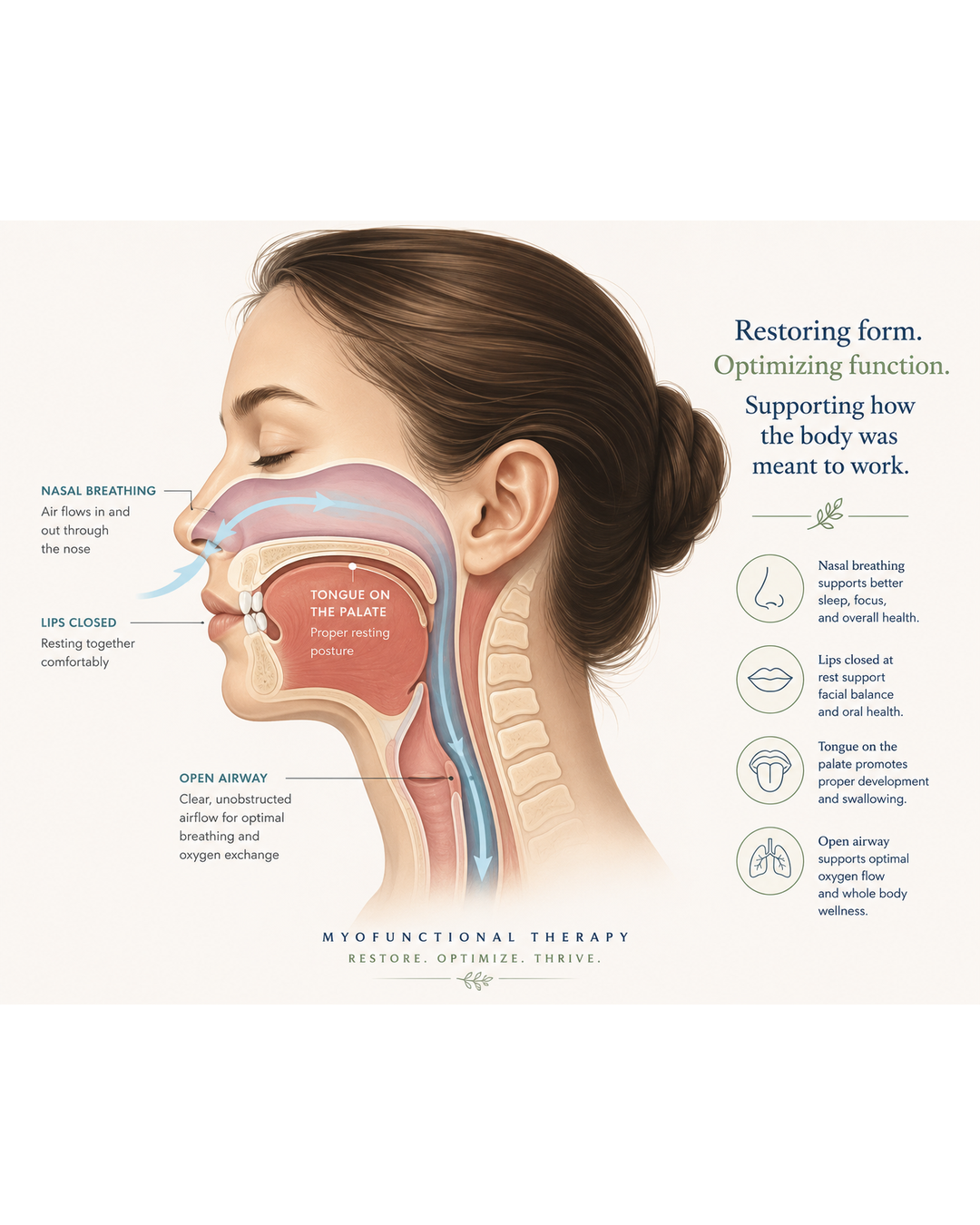 Myofunctional Therapy