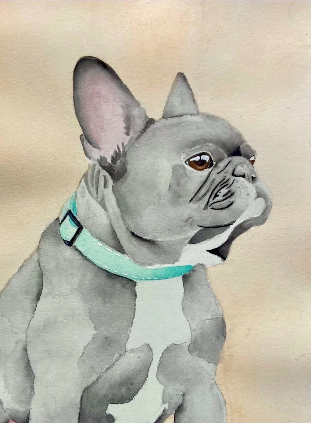 Watercolor painting of a French Bulldog with a turquoise collar, looking to the right.